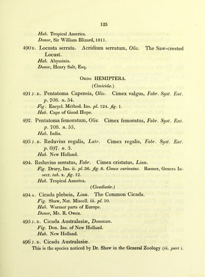 Hob. Tropical America. Donory Sir William Blizard, 1811. 490b. Locusta serrata. Acridium serratum, Oliv. The Saw-crested Locust. Hah, Abyssinia. Donor, Henry Salt, Esq. Ordo HEMIPTERA. {CimicidcB.) 491 J.B. Pentatoma Capensis, Oliv. Cimex valgus, Fabr. Syst, Ent. p. 7O8. n. 54. Fig. Encycl. Method. Ins. pi. 124. 1. Hab. Cape of Good Hope. 492. Pentatoma femoratum, Oliv. Cimex femoratus, Fabr. Syst. Ent. p. 7O8. n. 55. Hab. India. 493J.B. Reduvius regalis, Latr. Cimex regalis, Fabr. Syst. Ent. p. 697. n. 3. Hab. New Holland. 494. Reduvius serratus, Fabr. Cimex cristatus, Linn. Fig. Drury, Ins. ii. pi. 36. ^g. 6. Cimex carinatus. Roemer, Genera In- sect. tab. X. fig. 12. Hah. Tropical America. {Cicadiadce.^ 494 a. Cicada plebeia, Linn. The Common Cicada. Fig. Shaw, Nat. Miscell. iii. pi. 10. Hab. Warmer parts of Europe. Donor, Mr. R. Owen. 495 J.B. Cicada Australasiae, Donovan. Fig. Don. Ins. of New Holland. Hab. New Holland. 496 J.B. Cicada Australasiee. This is the species noticed by Dr. Shaw in the General Zoology (vi. part i.