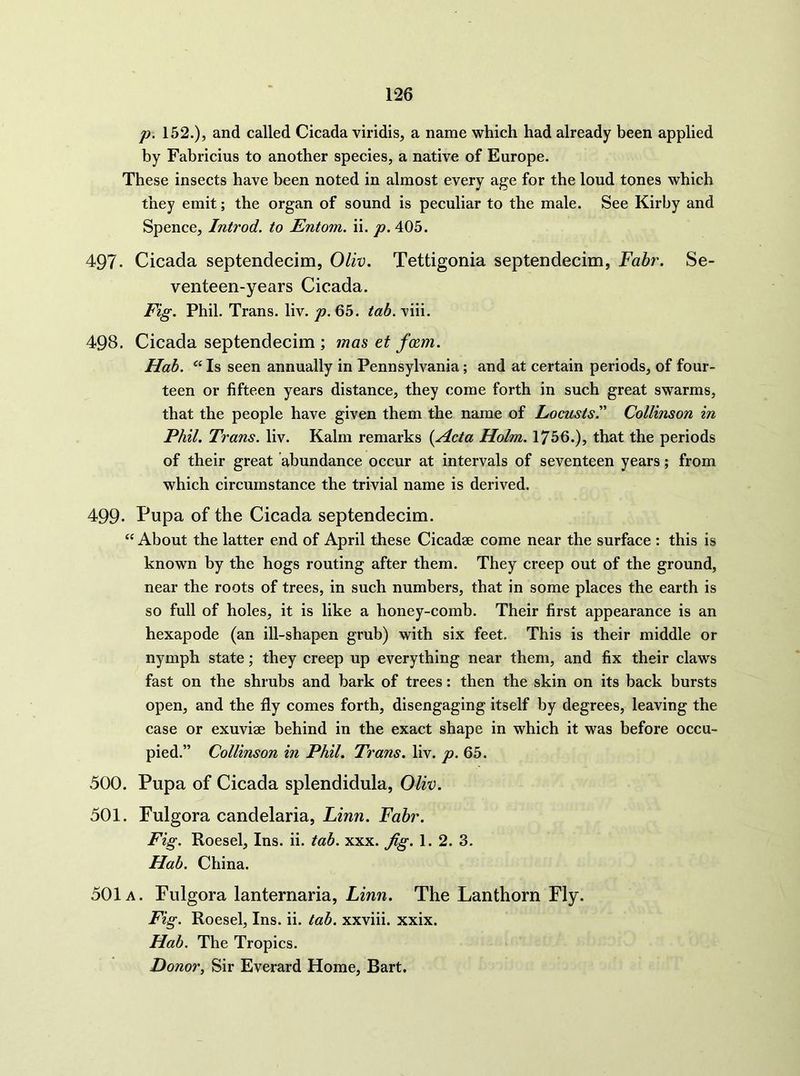 p. 152.), and called Cicada viridis, a name which had already been applied by Fabricius to another species, a native of Europe. These insects have been noted in almost every age for the loud tones which they emit; the organ of sound is peculiar to the male. See Kirby and Spence, Introd. to Entom. ii. p, 405. 497. Cicada septendecim, Oliv. Tettigonia septendecim, Eabr. Se- venteen-years Cicada. Fig. Phil. Trans, liv. p. 65. tab. viii. 498. Cicada septendecim ; ma^ et fmm. Hob. Is seen annually in Pennsylvania; and at certain periods, of four- teen or fifteen years distance, they come forth in such great swarms, that the people have given them the name of Locusts'' Collinson in Phil. Trans, liv. Kalm remarks {Acta Holm. 1756.), that the periods of their great abundance occur at intervals of seventeen years; from which circumstance the trivial name is derived. 499* Pupa of the Cicada septendecim. “ About the latter end of April these Cicad2e come near the surface : this is known by the hogs routing after them. They creep out of the ground, near the roots of trees, in such numbers, that in some places the earth is so full of holes, it is like a honey-comb. Their first appearance is an hexapode (an ill-shapen grub) with six feet. This is their middle or nymph state; they creep up everything near them, and fix their claws fast on the shrubs and bark of trees: then the skin on its back bursts open, and the fly comes forth, disengaging itself by degrees, leaving the case or exuviae behind in the exact shape in which it was before occu- pied.” Collinson in Phil. Trans, liv. p. 65. 500. Pupa of Cicada splendidula, Oliv. 501. Fulgora Candelaria, Linn. Fabr. Fig. Roesel, Ins. ii. tab. xxx. fig. 1. 2. 3. Hab. China. 501a. Fulgora lanternaria, Linn. The Lanthorn Fly. Fig. Roesel, Ins. ii. tab. xxviii. xxix. Hab. The Tropics. Donor, Sir Everard Home, Bart.