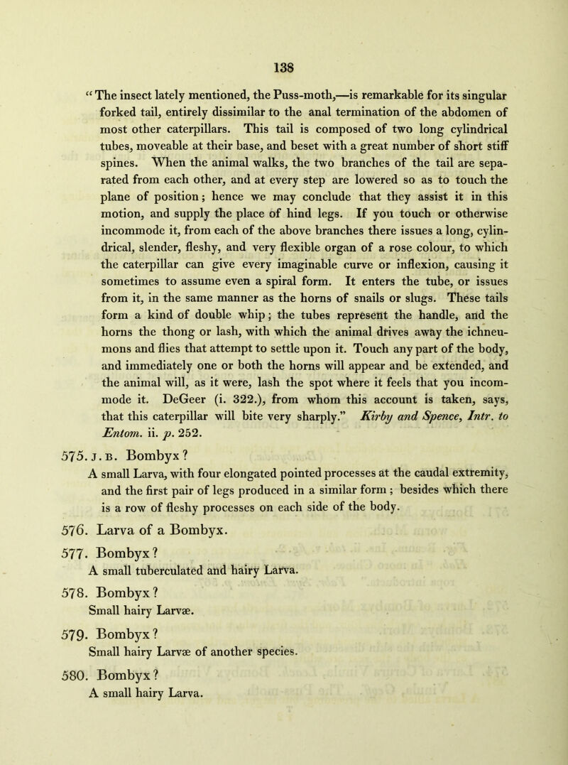 “ The insect lately mentioned, the Puss-moth,—is remarkable for its singular forked tail, entirely dissimilar to the anal termination of the abdomen of most other caterpillars. This tail is composed of two long cylindrical tubes, moveable at their base, and beset with a great number of short stiff spines. When the animal walks, the two branches of the tail are sepa- rated from each other, and at every step are lowered so as to touch the plane of position; hence we may conclude that they assist it in this motion, and supply the place of hind legs. If you touch or otherwise incommode it, from each of the above branches there issues a long, cylin- drical, slender, fleshy, and very flexible organ of a rose colour, to which the caterpillar can give every imaginable curve or inflexion, causing it sometimes to assume even a spiral form. It enters the tube, or issues from it, in the same manner as the horns of snails or slugs. These tails form a kind of double whip; the tubes represent the handle, and the horns the thong or lash, with which the animal drives away the ichneu- mons and flies that attempt to settle upon it. Touch any part of the body, and immediately one or both the horns will appear and be extended, and the animal will, as it were, lash the spot where it feels that you incom- mode it. DeGeer (i. 322.), from whom this account is taken, says, that this caterpillar will bite very sharply.” Kirby and Spence^ Intr. to Entom. ii. p. 252. 575. j. B. Bombyx ? A small Larva, with four elongated pointed processes at the caudal extremity, and the first pair of legs produced in a similar form ; besides which there is a row of fleshy processes on each side of the body. 576. Larva of a Bombyx. 577. Bombyx? A small tuberculated arid hairy Larva. 578. Bombyx? Small hairy Larvae. 579- Bombyx? Small hairy Larvae of another species. 580. Bombyx? A small hairy Larva.