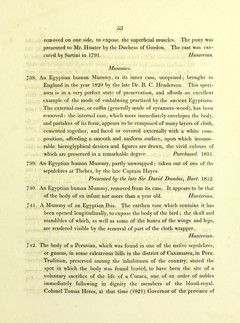 removed on one side, to expose the superficial muscles. The pony was presented to Mr. Hunter by the Duchess of Gordon. The cast was exe- cuted by Sartini in 1791. Hunterian. Mummies. 738. An Egyptian human Mummy, in its inner case, unopened; brought to England in the year 1820 by the late Dr. B. C. Henderson. This speci- men is in a very perfect state of preservation, and affords an excellent example of the mode of embalming practised by the ancient Egyptians. The external case, or coffin (generally made of sycamore-wood), has been removed: the internal case, which more immediately envelopes the body, and partakes of its form, appears to be composed of many layers of cloth, cemented together, and faced or covered externally with a white com- position, afibrding a smooth and uniform surface, upon which innume- rable hieroglyphical devices and figures are drawn, the vivid colours of which are preserved in a remarkable degree. Purchased. 1831. 739. An Egyptian human Mummy, partly unwrapped; taken out of one of the sepulchres at Thebes, by the late Captain Hayes. Presented by the late Sir David Dundas, Bart. 1812. 740. An Egyptian human Mummy, removed from its case. It appears to be that of the body of an infant not more than a year old. Hunterian. 741. A Mummy of an Egyptian Ibis. The earthen vase which contains it has been opened longitudinally, to expose the body of the bird ; the skull and mandibles of which, as well as some of the bones of the wings and legs, are rendered visible by the removal of part of the cloth wrapper. Hunterian. 742. The body of a Peruvian, which was found in one of the native sepulchres, or guacas, in some calcareous hills in the district of Caxamarca, in Peru. Tradition, preserved among the inhabitants of the country, stated the spot in which the body was found buried, to have been the site of a voluntary sacrifice of the life of a Curaca, one of an order of nobles immediately following in dignity the members of the blood-royal. Colonel Tomas Heres, at that time (1821) Governor of the province of