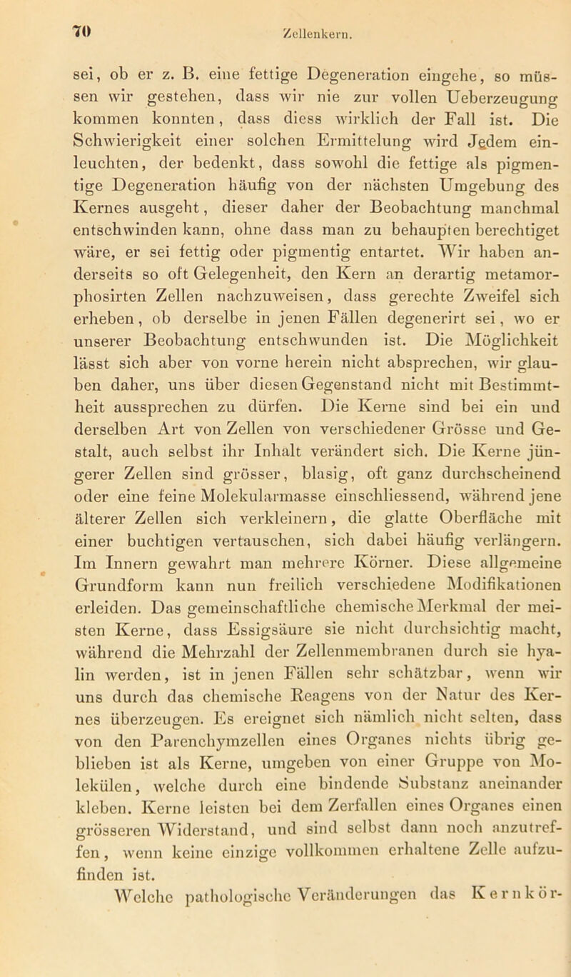 sei, ob er z. B. eine fettige Degeneration eingehe, so müs- sen wir gestehen, dass wir nie zur vollen Ueberzeugung kommen konnten, dass diess wirklich der Fall ist. Die Schwierigkeit einer solchen Ermittelung wird Jgdem ein- leuchten, der bedenkt, dass sowohl die fettige als pigmen- tige Degeneration häufig von der nächsten Umgebung des Kernes ausgeht, dieser daher der Beobachtung manchmal entschwinden kann, ohne dass man zu behaupten berechtiget wäre, er sei fettig oder pigmentig entartet. Wir haben an- derseits so oft Gelegenheit, den Kern an derartig metamor- phosirten Zellen nachzuweisen, dass gerechte Zweifel sich erheben, ob derselbe in jenen Fällen degenerirt sei, wo er unserer Beobachtung entschwunden ist. Die Möglichkeit lässt sich aber von vorne herein nicht absprechen, wir glau- ben daher, uns über diesen Gegenstand nicht mit Bestimmt- heit aussprechen zu dürfen. Die Kerne sind bei ein und derselben Art von Zellen von verschiedener Grösse und Ge- stalt, auch selbst ihr Inhalt verändert sich. Die Kerne jün- gerer Zellen sind grösser, blasig, oft ganz durchscheinend oder eine feine Molekularmasse einschliessend, während jene älterer Zellen sich verkleinern, die glatte Oberfläche mit einer buchtigen vertauschen, sich dabei häufig verlängern. Im Innern gewahrt man mehrere Körner. Diese allgemeine Grundform kann nun freilich verschiedene Modifikationen erleiden. Das gemeinschaftliche chemische Merkmal der mei- sten Kerne, dass Essigsäure sie nicht durchsichtig macht, während die Mehrzahl der Zellenmembranen durch sie hya- lin werden, ist in jenen Fällen sehr schätzbar, wenn wir uns durch das chemische Reagens von der Natur des Ker- nes überzeugen. Es ereignet sich nämlich nicht selten, dass von den Parenchymzellen eines Organes nichts übrig ge- blieben ist als Kerne, umgeben von einer Gruppe von Mo- lekülen, welche durch eine bindende Substanz aneinander kleben. Kerne leisten bei dem Zerfallen eines Organes einen grösseren Widerstand, und sind selbst dann noch anzutref- fen , wenn keine einzige vollkommen erhaltene Zelle aufzu- finden ist. Welche pathologische Veränderungen das K e r n k ö r-