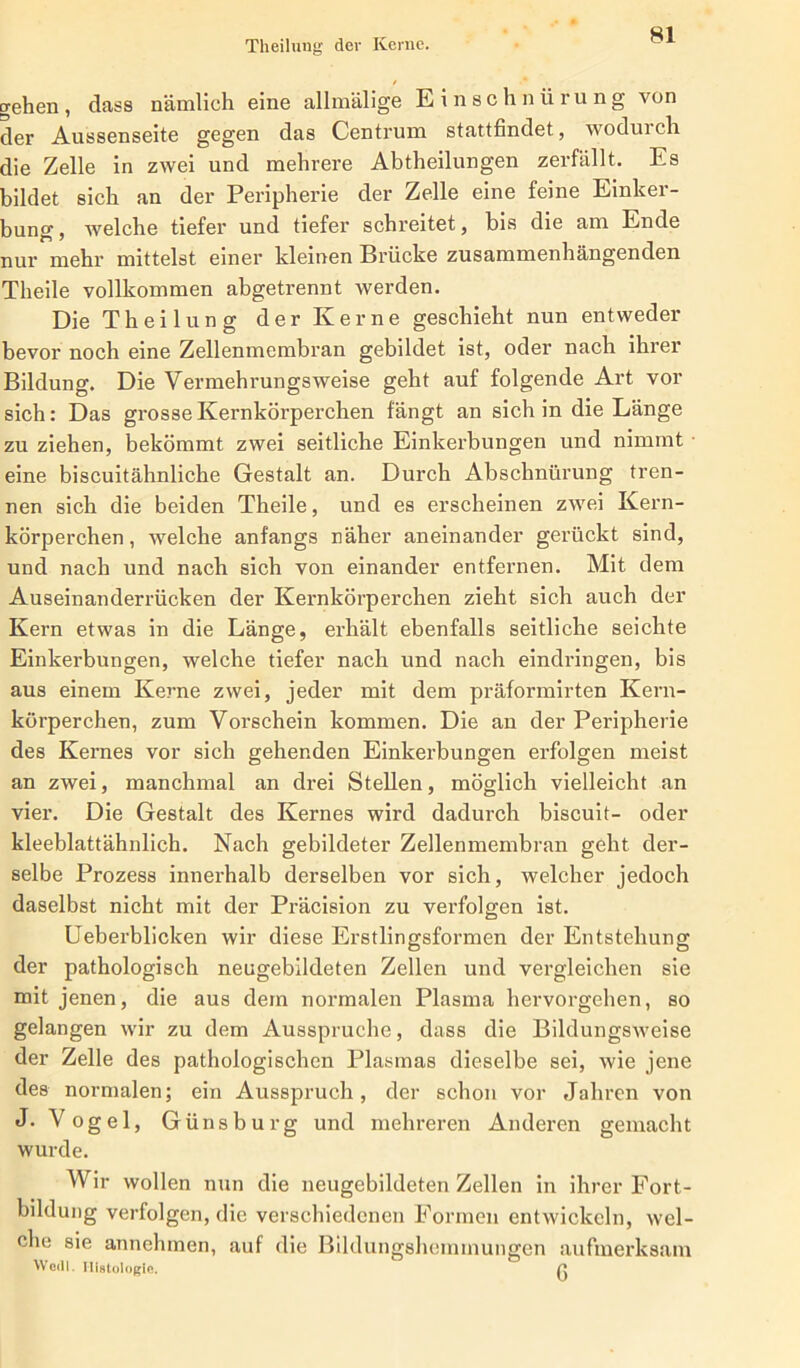 Theilung der Kerne. t gehen, dass nämlich eine allmälige Einschnürung von der Aussenseite gegen das Centrum stattfindet, wodui ch die Zelle in zwei und mehrere Abtheilungen zerfällt. Es bildet sich an der Peripherie der Zelle eine feine Einker- bung, welche tiefer und tiefer schreitet, bis die am Ende nur mehr mittelst einer kleinen Brücke zusammenhängenden Tlieile vollkommen abgetrennt werden. Die Theilung der Kerne geschieht nun entweder bevor noch eine Zellenmembran gebildet ist, oder nach ihrer Bildung. Die Vermehrungsweise geht auf folgende Art vor sich: Das grosse Kernkörperchen fängt an sich in die Länge zu ziehen, bekömmt zwei seitliche Einkerbungen und nimmt eine biscuitähnliche Gestalt an. Durch Abschnürung tren- nen sich die beiden Theile, und es erscheinen zwei Kern- körperchen, welche anfangs näher aneinander gerückt sind, und nach und nach sich von einander entfernen. Mit dem Auseinanderrücken der Kernkörperchen zieht sich auch der Kern etwas in die Länge, erhält ebenfalls seitliche seichte Einkei'bungen, welche tiefer nach und nach eindringen, bis aus einem Kerne zwei, jeder mit dem präformirten Kern- körperchen, zum Vorschein kommen. Die an der Peripherie des Kernes vor sich gehenden Einkerbungen erfolgen meist an zwei, manchmal an drei Stellen, möglich vielleicht an vier. Die Gestalt des Kernes wird dadurch biscuit- oder kleeblattähnlich. Nach gebildeter Zellenmembran geht der- selbe Prozess innerhalb derselben vor sich, welcher jedoch daselbst nicht mit der Präcision zu verfolgen ist. Ueberblicken wir diese Erstlingsformen der Entstehung der pathologisch neugebildeten Zellen und vergleichen sie mit jenen, die aus dem normalen Plasma hervorgehen, so gelangen wir zu dem Ausspruche, dass die Bildungsweise der Zelle des pathologischen Plasmas dieselbe sei, wie jene des normalen; ein Ausspruch, der schon vor Jahren von J. Vogel, Günsburg und mehreren Anderen gemacht wurde. Wir wollen nun die neugebildeten Zellen in ihrer Fort- bildung verfolgen, die verschiedenen Formen entwickeln, wel- che sie annehmen, auf die Bildungshemmungen aufmerksam Wetll. Histologie. H