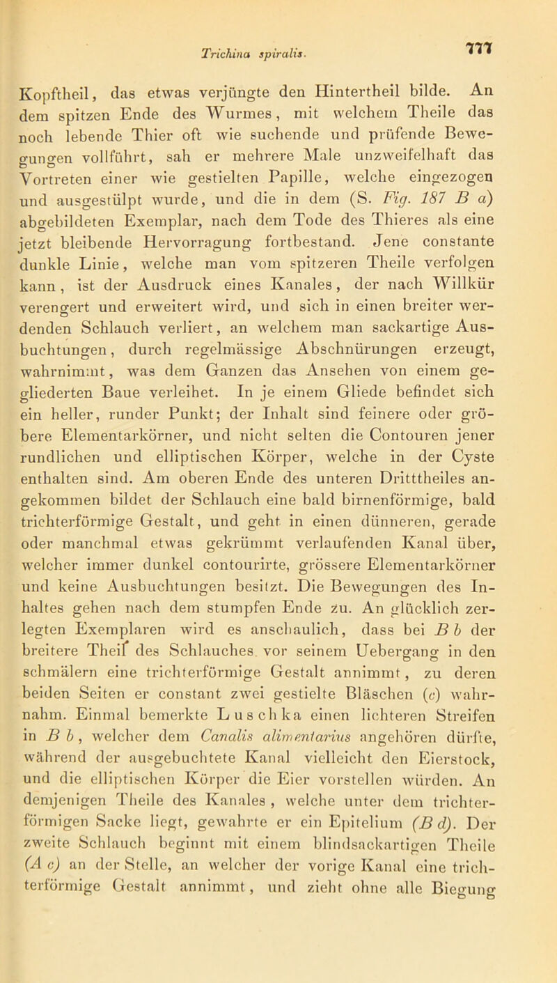 m Kopftheil, das etwas verjüngte den Hintertheil bilde. An dem spitzen Ende des Wurmes, mit welchem Tlieile das noch lebende Thier oft wie suchende und prüfende Bewe- gungen vollführt, sah er mehrere Male unzweifelhaft das Vortreten einer wie gestielten Papille, welche eingezogen und ausgestülpt wurde, und die in dem (S. Fig. 187 B a) abgebildeten Exemplar, nach dem Tode des Thieres als eine jetzt bleibende Hervorragung fortbestand. Jene constante dunkle Linie, welche man vom spitzeren Theile verfolgen kann, ist der Ausdruck eines Kanales, der nach Willkür verengert und erweitert wird, und sich in einen breiter wer- o denden Schlauch verliert, an welchem man sackartige Aus- buchtungen , durch regelmässige Abschnürungen erzeugt, wahrnimmt, was dem Ganzen das Ansehen von einem ge- gliederten Baue verleihet. In je einem Gliede befindet sich ein heller, runder Punkt; der Inhalt sind feinere oder grö- bere Elementarkörner, und nicht selten die Contouren jener rundlichen und elliptischen Körper, welche in der Cyste enthalten sind. Am oberen Ende des unteren Dritttheiles an- gekommen bildet der Schlauch eine bald birnenförmige, bald trichterförmige Gestalt , und geht in einen dünneren, gerade oder manchmal etwas gekrümmt verlaufenden Kanal über, welcher immer dunkel contourirte, grössere Elementarkörner und keine Ausbuchtungen besitzt. Die Bewegungen des In- haltes gehen nach dem stumpfen Ende zu. An glücklich zer- legten Exemplaren wird es anschaulich, dass bei B b der breitere Theif des Schlauches vor seinem Uebergang in den schmälern eine trichterförmige Gestalt annimmt, zu deren beiden Seiten er constant zwei gestielte Bläschen (c) wahr- nahm. Einmal bemerkte Luschka einen lichteren Streifen in B b , welcher dem Canalis alimmiarius angehören dürfte, während der ausgebuchtete Kanal vielleicht den Eierstock, und die elliptischen Körper die Eier vorstellen würden. An demjenigen Theile des Kanales , welche unter dem trichter- förmigen Sacke liegt, gewahrte er ein Epitelium (B d). Der zweite Schlauch beginnt mit einem blindsackartigen Theile (A c) an der Stelle, an welcher der vorige Kanal eine trich- terförmige Gestalt annimmt, und zieht ohne alle Biegung