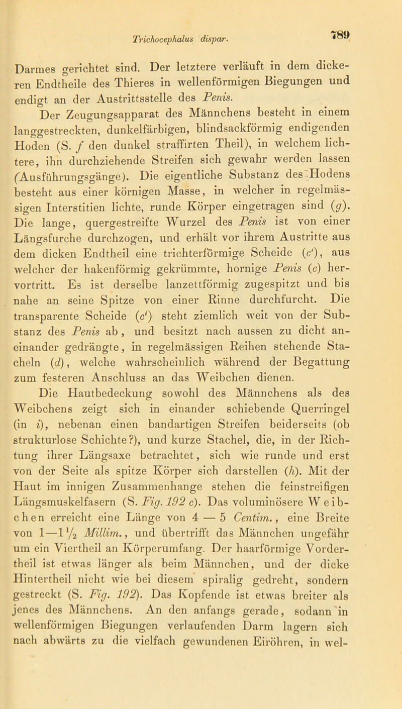 Darmes gerichtet sind. Der letztere verläuft in dem dicke- ren Endtheile des Thieres in wellenförmigen Biegungen und endigt an der Austrittsstelle des Penis. Der Zeugungsapparat des Männchens besteht in einem langgestreckten, dunkelfarbigen, blindsackförmig endigenden Hoden (S. / den dunkel straffirten Tlieil), in welchem lich- tere, ihn durchziehende Streifen sich gewahr werden lassen ('Ausführungsgänge). Die eigentliche Substanz des Hodens besteht aus einer körnigen Masse, in welcher in regelmäs- sigen Interstitien lichte, runde Körper eingetragen sind (<7). Die lange, quergestreifte Wurzel des Penis ist von einer Längsfurche durchzogen, und erhält vor ihrem Austritte aus dem dicken Endtheil eine trichterförmige Scheide (c‘), aus welcher der hakenförmig gekrümmte, hornige Penis (c) her- vortritt. Es ist derselbe lanzettförmig zugespitzt und bis nahe an seine Spitze von einer Rinne durchfurcht. Die transparente Scheide (c') steht ziemlich weit von der Sub- stanz des Penis ab , und besitzt nach aussen zu dicht an- einander gedrängte, in regelmässigen Reihen stehende Sta- cheln (d), welche wahrscheinlich während der Begattung zum festeren Anschluss an das Weibchen dienen. Die Hautbedeckung sowohl des Männchens als des Weibchens zeigt sich in einander schiebende Querringel (in i), nebenan einen bandartigen Streifen beiderseits (ob strukturlose Schichte?), und kurze Stachel, die, in der Rich- tung ihrer Längsaxe betrachtet, sich wie runde und erst von der Seite als spitze Körper sich darstellen (7i). Mit der Haut im innigen Zusammenhänge stehen die feinstreifigen Längsmuskelfasern (S. Fig. 192 c). Das voluminösere Weib- chen erreicht eine Länge von 4 — 5 Centim., eine Breite von 1—1 % Millim., und übertrifft das Männchen ungefähr um ein Viertheil an Körperumfang. Der haarförmige Vorder- theil ist etwas länger als beim Männchen, und der dicke Hintertheil nicht wie bei diesem spiralig gedreht, sondern gestreckt (S. Fig. 192). Das Kopfende ist etwas breiter als jenes des Männchens. An den anfangs gerade, sodann in wellenförmigen Biegungen verlaufenden Darm lagern sich nach abwärts zu die vielfach gewundenen Eiröhren, in wel-