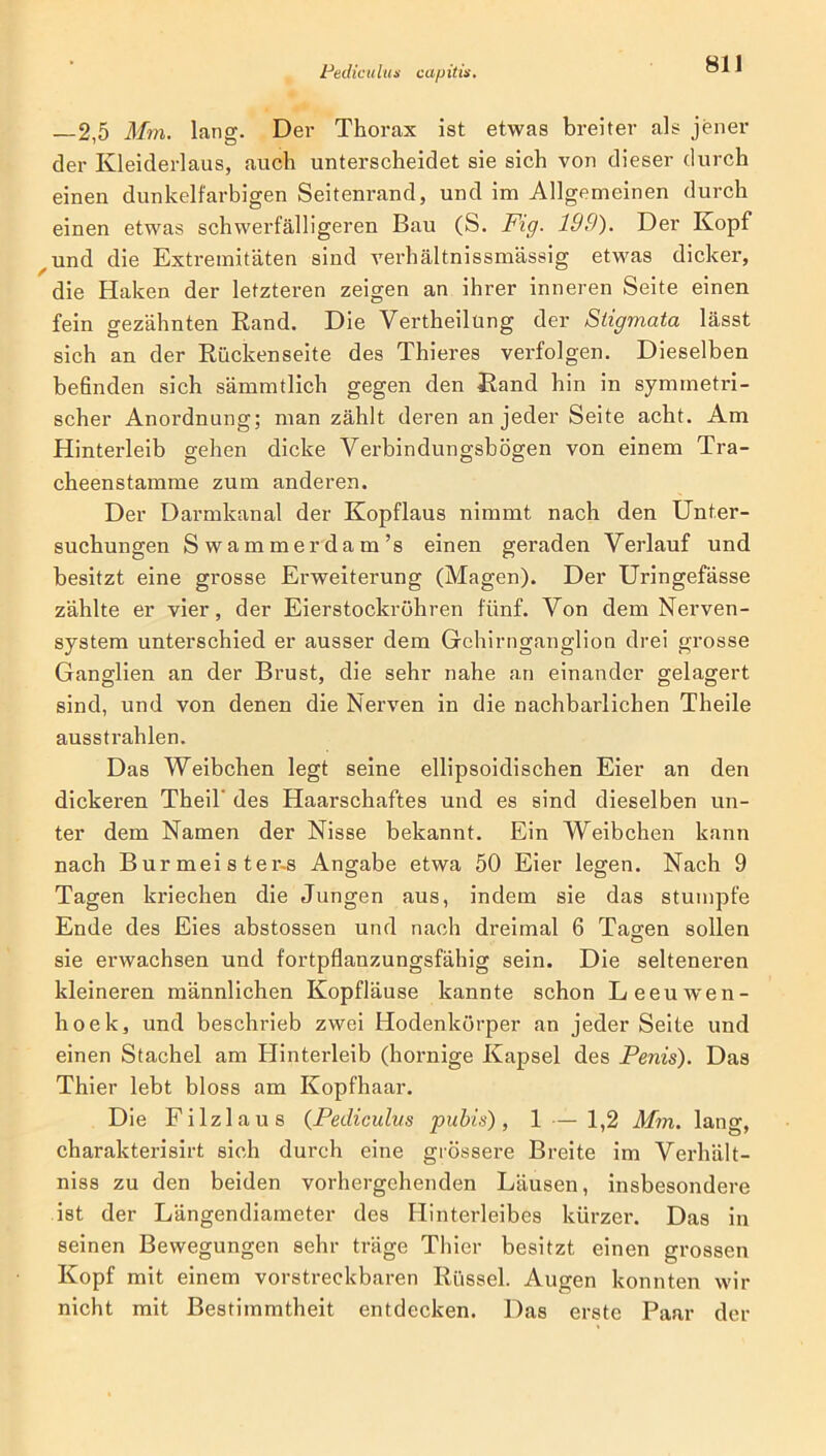 Pediculus capitis. 2,5 Mm. lang. Der Thorax ist etwas breiter als jener der Kleiderlaus, auch unterscheidet sie sich von dieser durch einen dunkelfarbigen Seitenrand, und im Allgemeinen durch einen etwas schwerfälligeren Bau (S. Fig. 199). Der Kopf und die Extremitäten sind verhältnissmässig etwas dicker, die Haken der letzteren zeigen an ihrer inneren Seite einen fein gezähnten Rand. Die Vertheilüng der Stigmata lässt sich an der Rückenseite des Thieres verfolgen. Dieselben befinden sich sämmtlich gegen den Rand hin in symmetri- scher Anordnung; man zählt deren an jeder Seite acht. Am Hinterleib gehen dicke Verbindungsbögen von einem Tra- cheenstamme zum anderen. Der Darmkanal der Kopflaus nimmt nach den Unter- suchungen Swammerdam’s einen geraden Verlauf und besitzt eine grosse Erweiterung (Magen). Der Uringefässe zählte er vier, der Eierstockröhren fünf. Von dem Nerven- system unterschied er ausser dem Gchirnganglion drei grosse Ganglien an der Brust, die sehr nahe an einander gelagert sind, und von denen die Nerven in die nachbarlichen Theile ausstrahlen. Das Weibchen legt seine ellipsoidischen Eier an den dickeren Theil des Haarschaftes und es sind dieselben un- ter dem Namen der Nisse bekannt. Ein Weibchen kann nach Bur mei s ter-s Angabe etwa 50 Eier legen. Nach 9 Tagen kriechen die Jungen aus, indem sie das stumpfe Ende des Eies abstossen und nach dreimal 6 Tagen sollen sie erwachsen und fortpflanzungsfähig sein. Die selteneren kleineren männlichen Kopfläuse kannte schon Leeuwen- hoek, und beschrieb zwei Hodenkörper an jeder Seite und einen Stachel am Hinterleib (hornige Kapsel des Penis). Das Thier lebt bloss am Kopfhaar. Die Filzlaus (Pediculus pubis), 1 — 1,2 Mm. lang, charakterisirt sich durch eine grössere Breite im Verhält- niss zu den beiden vorhergehenden Läusen, insbesondere ist der Längendiameter des Hinterleibes kürzer. Das in seinen Bewegungen sehr träge Thier besitzt einen grossen Kopf mit einem vorstreckbaren Rüssel. Augen konnten wir nicht mit Bestimmtheit entdecken. Das erste Paar der