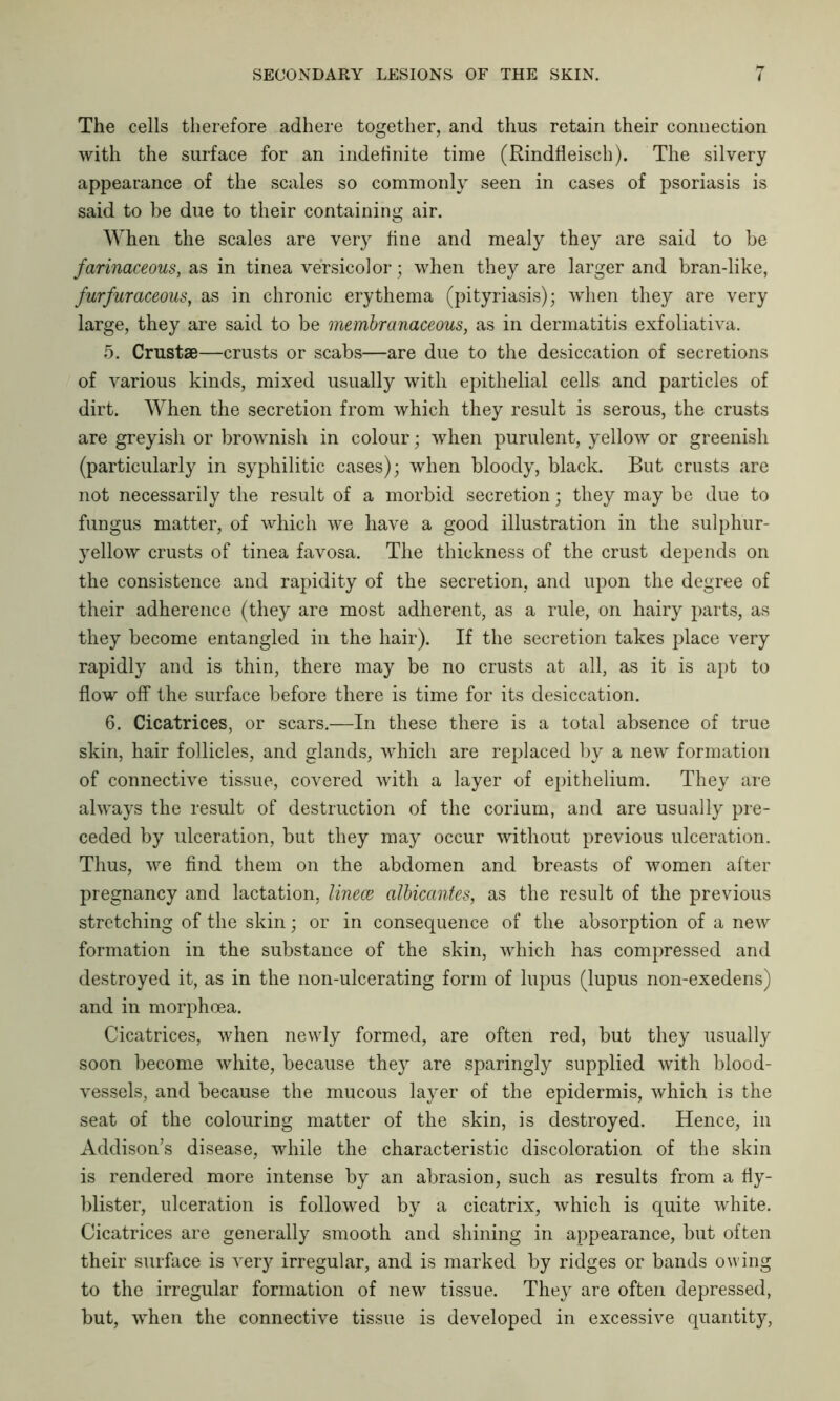 The cells therefore adhere together, and thus retain their connection with the surface for an indefinite time (Rindfleisch). The silvery appearance of the scales so commonly seen in cases of psoriasis is said to be due to their containing air. When the scales are very fine and mealy they are said to be farinaceous, as in tinea versicolor; when they are larger and bran-like, furfuraceous, as in chronic erythema (pityriasis); when they are very large, they are said to be membranaceous, as in dermatitis exfoliativa. 5. Crustae—crusts or scabs—are due to the desiccation of secretions of various kinds, mixed usually with epithelial cells and particles of dirt. When the secretion from which they result is serous, the crusts are greyish or brownish in colour; when purulent, yellow or greenish (particularly in syphilitic cases); when bloody, black. But crusts are not necessarily the result of a morbid secretion; they may be due to fungus matter, of which we have a good illustration in the sulphur- yellow crusts of tinea favosa. The thickness of the crust depends on the consistence and rapidity of the secretion, and upon the degree of their adherence (they are most adherent, as a rule, on hairy parts, as they become entangled in the hair). If the secretion takes place very rapidly and is thin, there may be no crusts at all, as it is apt to flow off the surface before there is time for its desiccation. 6. Cicatrices, or scars.—In these there is a total absence of true skin, hair follicles, and glands, which are replaced by a new formation of connective tissue, covered with a layer of epithelium. They are always the result of destruction of the corium, and are usually pre- ceded by ulceration, but they may occur without previous ulceration. Thus, we find them on the abdomen and breasts of women after pregnancy and lactation, linece albicantes, as the result of the previous stretching of the skin; or in consequence of the absorption of a new formation in the substance of the skin, which has compressed and destroyed it, as in the non-ulcerating form of lupus (lupus non-exedens) and in morphoea. Cicatrices, when newly formed, are often red, but they usually soon become white, because they are sparingly supplied with blood- vessels, and because the mucous layer of the epidermis, which is the seat of the colouring matter of the skin, is destroyed. Hence, in Addison’s disease, while the characteristic discoloration of the skin is rendered more intense by an abrasion, such as results from a fly- blister, ulceration is followed by a cicatrix, which is quite white. Cicatrices are generally smooth and shining in appearance, but often their surface is very irregular, and is marked by ridges or bands owing to the irregular formation of new tissue. They are often depressed, but, when the connective tissue is developed in excessive quantity,