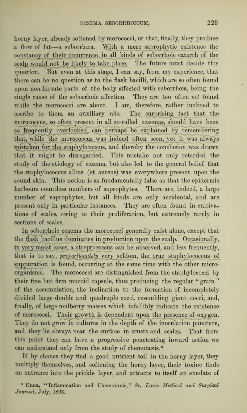 horny layer, already softened by morococci, or that, finally, they produce a flow of fat—a seborrhoea. With a mere saprophytic existence the constancy of their occurrence in all kinds of seborrhoic catarrh of the scalp would not be likely to take place. The future must decide this question. But even at this stage, I can say, from my experience, that there can be no question as to the flask bacilli, which are so often found upon non-hirsute parts of the body affected with seborrhoea, being the single cause of the seborrhoic affection. They are too often not found while the morococci are about. I am, therefore, rather inclined to ascribe to them an auxiliary rdle. The surprising fact that the morococcus, so often present in all so-called eczemas, should have been so frequently overlooked, can perhaps be explained by remembering that, while the morococcus was indeed often seen, yet it was always mistaken for the staphylococcus, and thereby the conclusion was drawn that it might be disregarded. This mistake not only retarded the study of the etiology of eczema, but also led to the general belief that the staphylococcus albus (et aureus) was everywhere present upon the sound skin. This notion is as fundamentally false as that the epidermis harbours countless numbers of saprophytes. There are, indeed, a large number of saprophytes, but all kinds are only accidental, and are present only in particular instances. They are often found in cultiva- tions of scales, owing to their proliferation, but extremely rarely in sections of scales. In seborrhoic eczema the morococci generally exist alone, except that the flask bacillus dominates in production upon the scalp. Occasionally, inj^mx^aoisf cases, a^streptococcus can be observed, and less frequently, that is to say, projwrtionatevery seldom, the true staphylococcus of suppuration is found, occurring at the same time with the other micro- organisms. The morococci are distinguished from the staphylococci by their fine but firm mucoid capsule, thus producing the regular “ grain ” of the accumulation, the inclination to the formation of incompletely divided large double and quadruple cocci, resembling giant cocci, and, finally, of large mulberry masses which infallibly indicate the existence of morococci. Their growth is dependent upon the presence of oxygen. They do not grow in cultures in the depth of the inoculation puncture, and they lie always near the surface in crusts and scales. That from this point they can have a progressive penetrating inward action we can understand only from the study of chemotaxis.* If by chance they find a good nutrient soil in the horny layer, they multiply themselves, and softening the horny layer, their toxine finds an entrance into the prickle layer, and attracts to itself an exudate of * Unna, “Inflammation and Chemotaxis,” St. Louis Medical and Surgical Journal, July, 1893.
