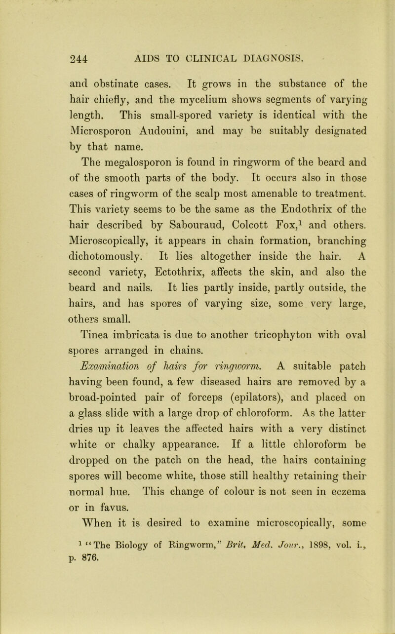 and obstinate cases. It grows in the substance of the hair chiefly, and the mycelium shows segments of varying length. This small-spored variety is identical with the Microsporon Audouini, and may be suitably designated by that name. The megalosporon is found in ringworm of the beard and of the smooth parts of the body. It occurs also in those cases of ringworm of the scalp most amenable to treatment. This variety seems to be the same as the Endothrix of the hair described by Sabouraud, Colcott Fox,^ and others. Microscopically, it appears in chain formation, branching dichotomously. It lies altogether inside the hair. A second variety, Ectothrix, affects the skin, and also the beard and nails. It lies partly inside, partly outside, the hairs, and has spores of varying size, some very large, others small. Tinea imbricata is due to another tricophyton with oval spores arranged in chains. Examination of hairs for ringworm. A suitable patch having been found, a few diseased hairs are removed by a broad-pointed pair of forceps (epilators), and placed on a glass slide with a large drop of chloroform. As the latter dries up it leaves the affected hairs with a very distinct white or chalky appearance. If a little chloroform be dropped on the patch on the head, the hairs containing spores will become white, those still healthy retaining their normal hue. This change of colour is not seen in eczema or in favus. When it is desired to examine microscopically, some ^ “The Biology of Ringworm,” Brit, Med. Jour., 1898, vol. i., p. 876.