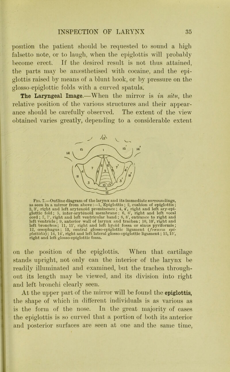 position the patient should be requested to sound a high falsetto note, or to laugh, when the epiglottis will probably become erect. If the desired result is not thus attained, the parts may be anaesthetised with cocaine, and the epi- glottis raised by means of a blunt hook, or by pressure on the glosso-epiglottic folds with a curved spatula. The Laryngeal Image.—When the mirror is in situ, the relative position of the various structures and their appear- ance should be carefully observed. The extent of the view obtained varies greatly, depending to a considerable extent Fig. 7.—Outline diagram of the larynx and its immediate surroundings, as seen in a mirror from above :—1, Epiglottis ; 2, cushion of epiglottis ; 3, 3', right and left arytenoid prominence; 4, 4', right and left ary-epi- glottic fold; 5, inter-arytenoid membrane ; 6, 6', right and left vocal cord ; 7, 7', right and left ventricular band ; S, S', entrance to right and left ventricle ; 9, anterior wall of larynx and trachea ; 10, 10', right and left bronchus; 11, 11', right and left hyoid fossa or sinus pyriformis; 12, oesophagus; 13, central glosso-epiglottic ligament (fvcenvm epi- glotlidis); 14, 14', right and left lateral glosso-epiglottic ligament; 15,15', right and left glosso-epiglottic fossa. on the position of the epiglottis. When that cartilage stands upright, not only can the interior of the larynx be readily illuminated and examined, but the trachea through- out its length may be viewed, and its division into right and left bronchi clearly seen. At the upper part of the mirror will be found the epiglottis, the shape of which in different individuals is as various as is the form of the nose. In the great majority of cases the epiglottis is so curved that a portion of both its anterior and posterior surfaces are seen at one and the same time,