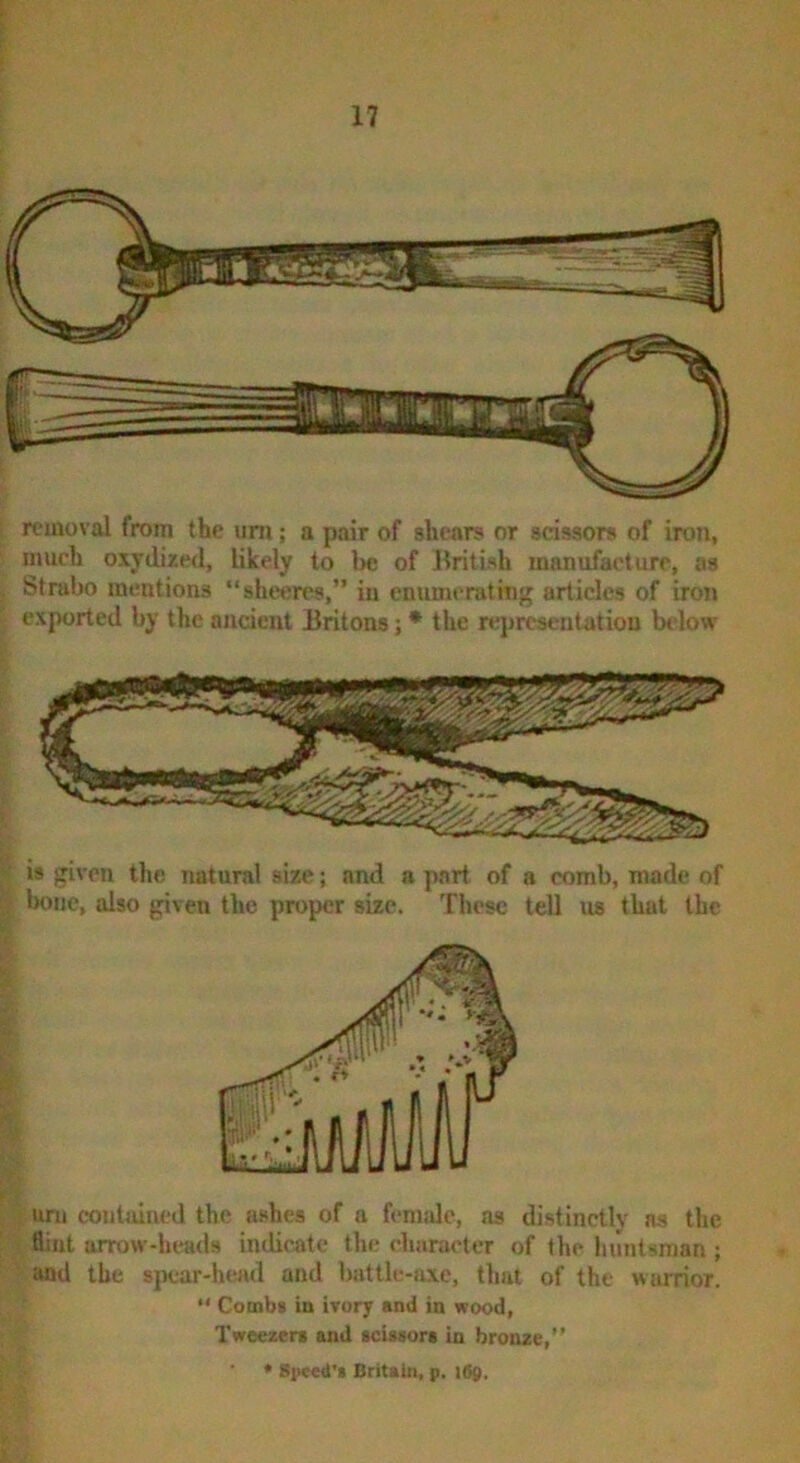 rcuioval from the uni; a pair of shears or scissors of iron, much oxydized, likely to l>e of British manufacture, as Strabo mentions “shw;rt's,” in enumerating articles of iron exported by the ancient Britons; * the rejircsentatiou below is given the natural size; and a part of a comb, made of l)one, also given the proper size. These tell us that the uni contained the ashes of a female, ns distinctly as the flint arrow-heads indicate the character of the huntsman ; and the spear-head and battle-axe, that of the wairior. “ Combs in ivory and in wood, Tweezers and scissors in bronze,” * Speed's Britain, p. i6g.