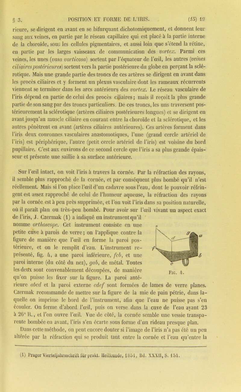 rieure, se dirigent en avant en se bifurquant dichotomiquement, et donnent leur sang aux veines, en partie par le réseau capillaire qui est placé à la partie interne de la choroïde, sous les cellules pigmentaires, et aussi loin que s’étend la rétine, en partie par les larges vaisseaux de communication des vortex. Parmi ces veines, les unes (vasa vorticosa) sortent par l’équateur de l’œil, les autres (veines ciliaires postérieures) sortent vers la partie postérieure du globe en perçant la sclé- rotique. Mais une grande partie des troncs de ces artères se dirigent en avant dans les procès ciliaires et y forment un plexus vasculaire dont les rameaux récurrents viennent se terminer dans les arcs antérieur?} des vortex. Le réseau vasculaire de l’iris dépend en partie de celui des procès ciliaires; mais il reçoit la plus grande partie de son sang par des troncs particuliers. De ces troncs, les uns traversent pos- térieurement la sclérotique (artères ciliaires postérieures longues) et se dirigent en avant jusqu’au muscle ciliaire en courant entre la choroïde cl la sclérotique, et les autres pénètrent en avant (artères ciliaires antérieures). Ces artères forment dans l’iris deux couronnes vasculaires anastomotiques, l’une (grand cercle artériel de l’iris) est périphérique, l’autre (petit cercle artériel de l’iris) est voisine du bord pupillaire. C’est aux environs de ce second cercle que l’iris a sa plus grande épais- seur et présente une saillie à sa surface antérieure. Sur l’œil intact, on voit l’iris à travers la cornée. Par la réfraction des rayons, il semble plus rapproché de la cornée, et par conséquent plus bombé qu’il n’est réellement. Mais si l’on place l’œil d’un cadavre sous l’eau, dont le pouvoir réfrin- gent est assez rapproché de celui de l'humeur aqueuse, la réfraction des rayons par la cornée est à peu près supprimée, et l’on voit l’iris dans sa position naturelle, où il paraît plan ou très-peu bombé. Pour avoir sur l’œil vivant un aspect exact de l’iris, J. Czermak (1) a indiqué un instrument qu’il nomme orthoscope. Cet instrument consiste en une petite ciive à parois de verre; on l’applique contre la ligure de manière que l’œil en forme la paroi pos- térieure, et on le remplit d’eau. L’instrument re- présenté, (ig. ô, a une paroi inférieure, feb, et une paroi interne (du côté du nez), gab, de métal. 'Toutes les deitx sont convenablement découpées, de manière qu’on puisse les fixer sur la figure. La paroi anté- rieure abcd et la paroi externe edef sont formées de lames de verre planes. Czermak recommande de mettre sur la figure de la mie de pain pétrie, dans la- quelle on imprime le bord de l’instrument, afin que l’eau ne puisse pas s’en écouler. On ferme d’abord l’œil, puis on verse dans la cuve de l’eau ayant 23 h 26° R., et l’on ouvre l’œil. Vue de côté, la cornée semble une vessie transpa- rente bombée en avant, l’iris s’en écarte sous forme d’un rideau presque plan. Dans cette méthode, on peut encore douter si l’image de l’iris n’a pas été un peu altérée par la réfraction qui se produit tant entre la cornée et l’eau qu’entre la n Fig. ü. (1) Prager Vierteljahrsschriftflù’prakt. Uoilkunde, 1831, Bd. XXXII, S. 154.