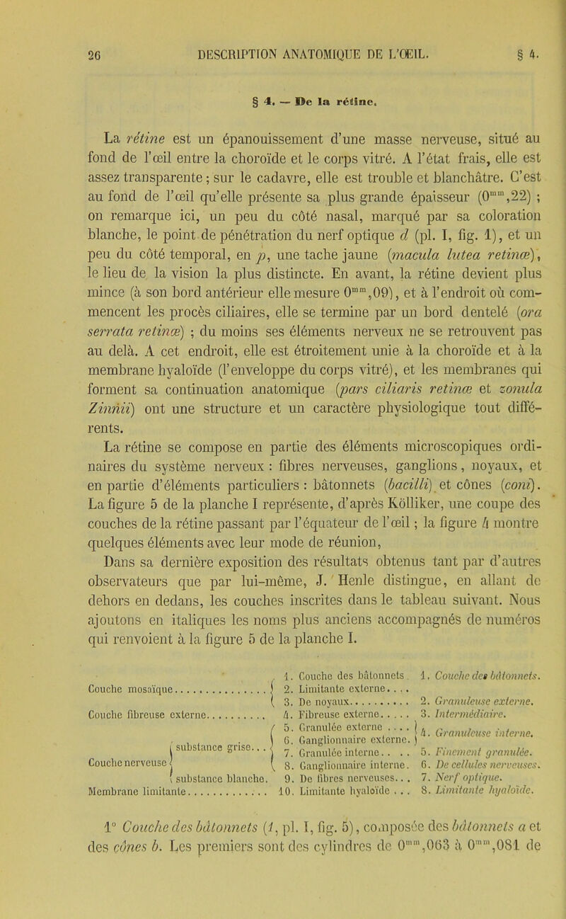 §4, — De la réline. La rétine est un épanouissement d’une masse nerveuse, situé au fond de l’œil entre la choroïde et le corps vitré. A l’état frais, elle est assez transparente; sur le cadavre, elle est trouble et blanchâtre. C’est au fond de l’œil qu’elle présente sa plus grande épaisseur (0mm,22) ; on remarque ici, un peu du côté nasal, marqué par sa coloration blanche, le point de pénétration du nerf optique d (pl. I, fig. 1), et un peu du côté temporal, en p, une tache jaune (macula lutea retinœ) , le lieu de la vision la plus distincte. En avant, la rétine devient plus mince (à son bord antérieur elle mesure 0mm,09), et à l’endroit où com- mencent les procès ciliaires, elle se termine par un bord dentelé (ora serrata retinœ) ; du moins ses éléments nerveux ne se retrouvent pas au delà. A cet endroit, elle est étroitement unie à la choroïde et à la membrane hyaloïcle (l’enveloppe du corps vitré), et les membranes qui forment sa continuation anatomique (pars ciliaris retinœ et zonula Zinnii) ont une structure et un caractère physiologique tout diffé- rents. La rétine se compose en partie des éléments microscopiques ordi- naires du système nerveux : fibres nerveuses, ganglions, noyaux, et en partie d’éléments particuliers: bâtonnets (bacilli) et cônes (conï). La figure 5 de la planche I représente, d’après Ivôlliker, une coupe des couches de la rétine passant par l’équateur de l’œil ; la figure h montre quelques éléments avec leur mode de réunion, Dans sa dernière exposition des résultats obtenus tant par d’autres observateurs que par lui-même, J. Henle distingue, en allant de dehors en dedans, les couches inscrites dans le tableau suivant. Nous ajoutons en italiques les noms plus anciens accompagnés de numéros qui renvoient à la figure 5 de la planche I. Couche mosaïque Couche fibreuse externe l'substance grise... Couche nerveuse' ( substance blanche. Membrane limitante 1. Couche des bâtonnets 2. Limitante externe.. .. 3. De noyaux h. Fibreuse externe 5. Granulée externe 6. Ganglionnaire externe. 7. Granulée interne.. .. 8. Ganglionnaire interne. 9. De fibres nerveuses... 10. Limitante hyaloïcle ... 1. Couche des bâtonnets. 2. Granuleuse externe. 3. Intermédiaire. | h. Granuleuse interne. 5. Finement granulée. G. De cellules nerveuses. 7. Nerf optique. 8. Limitante lujalo'idc. 1° Couche des bâtonnets (t, pl. 1, fig. 5), co.uposée des bâtonnets a et des cônes b. Les premiers sont des cylindres de O1 2 3 * 5 6 7 8 9 10',063 à 0mm,081 de