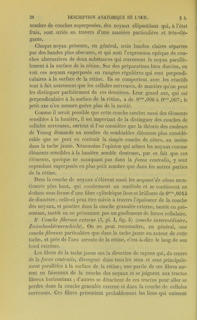 nombre de couches superposées, des noyaux ellipsoïdaux qui, à l’état frais, sont striés en travers d’une manière particulière et très-élé- gante. Chaque noyau présente, en général, trois bandes claires séparées par des bandes plus obscures, et qui sont l’expression optique de cou- ches alternatives de deux substances qui traversent le noyau parallè- lement à la surface de la rétine. Sur des préparations bien durcies, on voit ces noyaux superposés en rangées régulières qui sont perpendi- culaires à la surface de la rétine. Ils se comportent avec les réactifs tout à fait autrement que les cellules nerveuses, de manière qu’on peut les distinguer parfaitement de ces dernières. Leur grand axe, qui est perpendiculaire à la surface de la rétine, a de 0mm,006 à 0mm,007; le petit axe n’en mesure guère plus de la moitié. Comme il serait possible que cette couche contînt aussi des éléments sensibles à la lumière, il est important de la distinguer des couches de cellules nerveuses, surtout si l’on considère que la théorie des couleurs de Young demande un nombre de semblables éléments plus considé- rable que ne peut en contenir la simple couche de cônes, au moins dans la tache jaune. Néanmoins l’opinion qui admet les noyaux comme éléments sensibles à la lumière semble douteuse, par ce fait que ces éléments, quoique ne manquant pas dans la fovea centralisa y sont cependant superposés en plus petit nombre que dans les autres parties de la rétine. Dans la couche de noyaux s’élèvent aussi les noyaux de cônes men- tionnés plus haut, qui contiennent un nucléole et se continuent en dedans sous forme d’une fibre cylindrique lisse et brillante de 0mm,0015 de diamètre ; celle-ci peut être suivie à travers l’épaisseur de la couche des noyaux, et pénètre dans la couche granulée externe, tantôt en pré- sentant, tantôt en ne présentant pas un gonflement de forme cellulaire. h° Couche fibreuse externe (o, pl. I, fig. 5) (couche intermédiaire, Zwischenkornerschicht). On ne peut reconnaître, en général, une couche fibreuse particulière que dans la tache jaune ou autour de cette tache, et près de Yora serrata de la rétine, c’est-à-dire le long de son bord extrême. Les fibres de la tache jaune ont la direction de rayons qui, du centre de la fovea centra lis, divergent dans tous les sens et sont principale- ment parallèles à la surface de la rétine ; une partie de ces fibres sor- tent en faisceaux de la couche des noyaux et se joignent aux tractus fibreux horizontaux ; d’autres se détachent de ces tractus pour aller se perdre dans la couche granulée externe et dans la couche de cellules nerveuses. Ces fibres présentent probablement les liens qui unissent