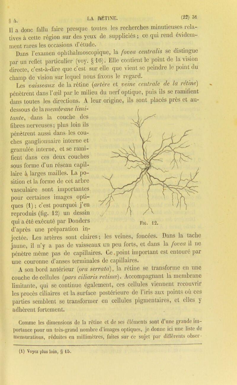 Il a donc fallu faire presque toutes les recherches minutieuses rela- tives à cette région sur des yeux de suppliciés ; ce qui rend évidem- ment rares les occasions d’étude. Dans l’examen ophthalmoscopique, la foveci centralis se distingue par un reflet particulier (voy. § 16). Elle contient le point de la vision directe, c’est-à-dire que c’est sur elle que vient se peindre le point du champ de vision sur lequel nous fixons le regard. Les vaisseaux de la rétine (artère et veine centrale de la rétine) pénètrent dans l’œil par le milieu du nerf optique, puis ils se ramifient dans toutes les directions. A leur origine, ils sont placés près et au- dessous delà membrane limi- tante, dans la couche des fibres nerveuses ; plus loin ils pénètrent aussi dans les cou- ches ganglionnaire interne et granulée interne, et se rami- fient dans ces deux couches sous forme d’un réseau capil- laire à larges mailles. La po- sition et la forme de cet arbre vasculaire sont importantes pour certaines images opti- ques (1) ; c’est pourquoi j’en reproduis (fig. 12) un dessin qui a été exécuté par Donders FlG 12. d’après une préparation in- jectée. Les artères sont claires ; les veines, foncées. Dans la tache jaune, il n’y a pas de vaisseaux un peu forts, et dans la fovea il ne pénètre môme pas de capillaires. Le.point important est entouie pai une couronne d’anses terminales de capillaires. A son bord antérieur (ora serrata), la rétine se transforme en une couche de cellules (pars ciliaris retince). Accompagnant la membrane limitante, qui se continue également, ces cellules viennent recouvrir les procès ciliaires et la surface postérieure de 1 iris aux points où ces parties semblent se transformer en cellules pigmentaires, et elles y adhèrent fortement. Comme les dimensions de la rétine cl de ses éléments sont d’une grande im- portance pour un très-grand nombre d’images optiques, je donne ici une liste de mensurations, réduites en millimètres, faites sur ce sujet par différents obser- (1) Voyez plus loin, § 15.