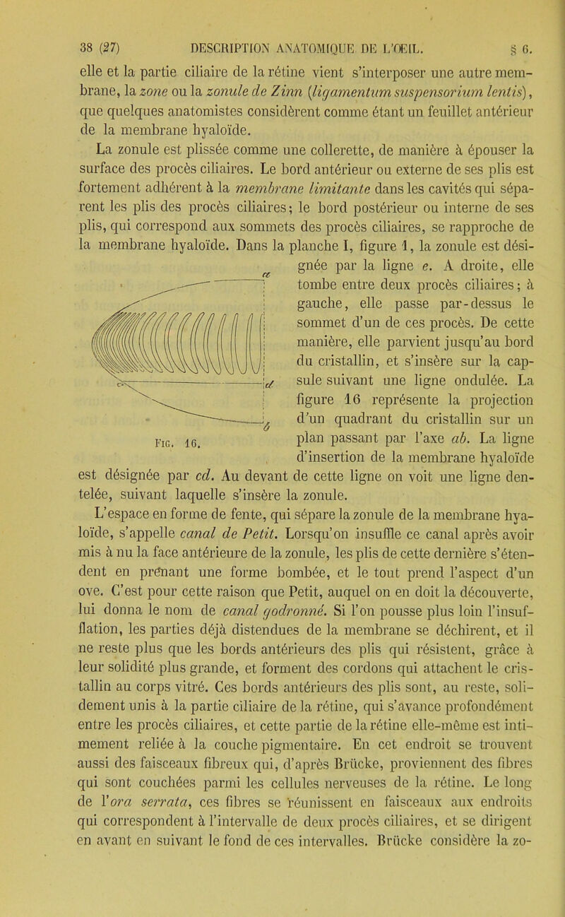 elle et la partie ciliaire de la rétine vient s’interposer une autre mem- brane, la zone ou la zonale de Zinn (ligamentum suspensorium lentis), que quelques anatomistes considèrent comme étant un feuillet antérieur de la membrane hyaloïde. La zonule est plissée comme une collerette, de manière à épouser la surface des procès ciliaires. Le bord antérieur ou externe de ses plis est fortement adhérent à la membrane limitante dans les cavités qui sépa- rent les plis des procès ciliaires ; le bord postérieur ou interne de ses plis, qui correspond aux sommets des procès ciliaires, se rapproche de la membrane hyaloïde. Dans la planche I, figure la zonule est dési- gnée par la ligne e. A droite, elle tombe entre deux procès ciliaires ; à gauche, elle passe par-dessus le sommet d’un de ces procès. De cette manière, elle parvient jusqu’au bord du cristallin, et s’insère sur la cap- sule suivant une ligne ondulée. La figure 16 représente la projection d’un quadrant du cristallin sur un plan passant par l’axe ab. La ligne d’insertion de la membrane hyaloïde est désignée par cd. Au devant de cette ligne on voit une ligne den- telée, suivant laquelle s’insère la zonule. L’espace en forme de fente, qui sépare la zonule de la membrane hya- loïde, s’appelle canal de Petit. Lorsqu’on insuffle ce canal après avoir mis à nu la face antérieure de la zonule, les plis de cette dernière s’éten- dent en prenant une forme bombée, et le tout prend l’aspect d’un ove. C’est pour cette raison que Petit, auquel on en doit la découverte, lui donna le nom de canal godronné. Si l’on pousse plus loin l’insuf- flation, les parties déjà distendues de la membrane se déchirent, et il ne reste plus que les bords antérieurs des plis qui résistent, grâce à leur solidité plus grande, et forment des cordons qui attachent le cris- tallin au corps vitré. Ces bords antérieurs des plis sont, au reste, soli- dement unis à la partie ciliaire de la rétine, qui s’avance profondément entre les procès ciliaires, et cette partie de la rétine elle-même est inti- mement reliée à la couche pigmentaire. En cet endroit se trouvent aussi des faisceaux fibreux qui, d’après Brücke, proviennent des fibres qui sont couchées parmi les cellules nerveuses de la rétine. Le long de Fora serrata, ces fibres se réunissent en faisceaux aux endroits qui correspondent à l’intervalle de deux procès ciliaires, et se dirigent en avant en suivant le fond de ces intervalles. Brücke considère la zo- Ct
