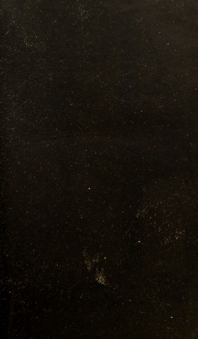 digitised image 3