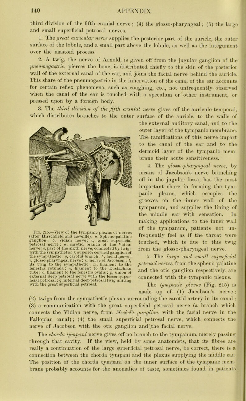 third division of the fifth cranial nerve ; (4) the glosso-pharyngeal ; (5) the large and small superficial petrosal nerves. 1. The great auricular nerve supplies the posterior part of the auricle, the outer surface of the lobule, and a small part above the lobule, as well as the integument over the mastoid process. 2. A twig, the nerve of Arnold, is given off' from the jugular ganglion of the pneumogastnc, pierces the bone, is distributed chiefly to the skin of the posterior wall of the external canal of the ear, and joins the facial nerve behind the auricle. This share of the pneumogastric in the innervation of the canal of the ear accounts for certain reflex phenomena, such as coughing, etc., not unfrequently observed when the canal of the ear is touched with a speculum or other instrument, or pressed upon by a foreign body. 3. The third division of the fifth cranial nerve gives off' the auriculo-temporal, which distributes branches to the outer surface of the auricle, to the walls of the external auditory canal, and to the outer layer of the tympanic membrane. The ramifications of this nerve impart to the canal of the ear and to the dermoid layer of the tympanic mem- brane their acute sensitiveness. 4. The glosso-pharyngeal nerve, by means of Jacobson’s nerve branching off in the jugular fossa, has the most important share in forming the tym- panic plexus, which occupies the grooves on the inner wall of the tympanum, and supplies the lining of the middle ear with sensation. In making applications to the inner wall of the tympanum, patients not un- frequently feel as if the throat were touched, which is due to this twig from the glosso-pharyngeal nerve. 5. The large and small superficial petrosal nerves, from the spheno-palatine and the otic ganglion respectively, are connected with the tympanic plexus. The tympanic plexus (Fig. 215) is made up of—(1) Jacobson’s nerve; (2) twigs from the sympathetic plexus surrounding the carotid artery in its canal ; (3) a communication with the great superficial petrosal nerve (a branch which connects the Vidian nerve, from MeckeVs ganglion, with the facial nerve in the Fallopian canal) ; (4) the small superficial petrosal nerve, which connects the nerve of Jacobson with the otic ganglion and The facial nerve. Fig. 215.—View of the tympanic plexus of nerves (after Hirschfield and Leveill^). a, Spheno-palatine ganglion ; b, Vidian nerve; c, great superficial petrosal nerve; d, carotid branch of the Vidian nerve ; e, part of the sixth nerve, connected by twigs with the sympathetic;/, superior cervical ganglion of the sympathetic ; g, carotid branch; A, facial nerve ; i, glosso-pharyngeal nerve ; k, nerve of Jacobson ; l, its twig to the sympathetic; m, filament to the fenestra rotunda; n, filament to the Eustachian tube ; o, filament to the fenestra ovalis ; p, union of external deep petrosal nerve with the lesser super- ficial petrosal; q, internal deep petrosal twig uniting with the great superficial petrosal. The chorda tympani nerve gives off no branch to the tympanum, merely passing through that cavity. If the view, held by some anatomists, that its fibres are really a continuation of the large superficial petrosal nerve, be correct, there is a connection between the chorda tympani and the plexus supplying the middle ear. The position of the chorda tympani on the inner surface of the tympanic mem- brane probably accounts for the anomalies of taste, sometimes found in patients