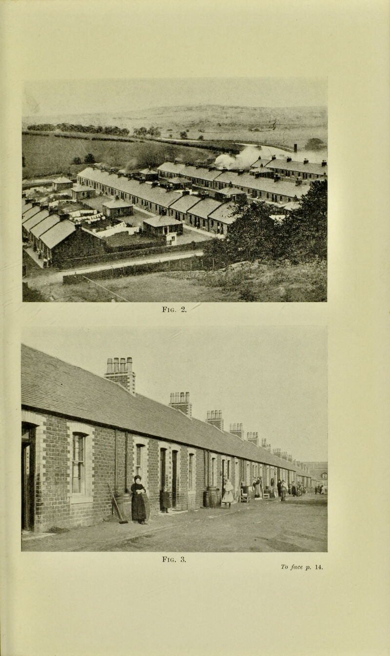 ilfsipPE Fig. 3. To face p. 14,
