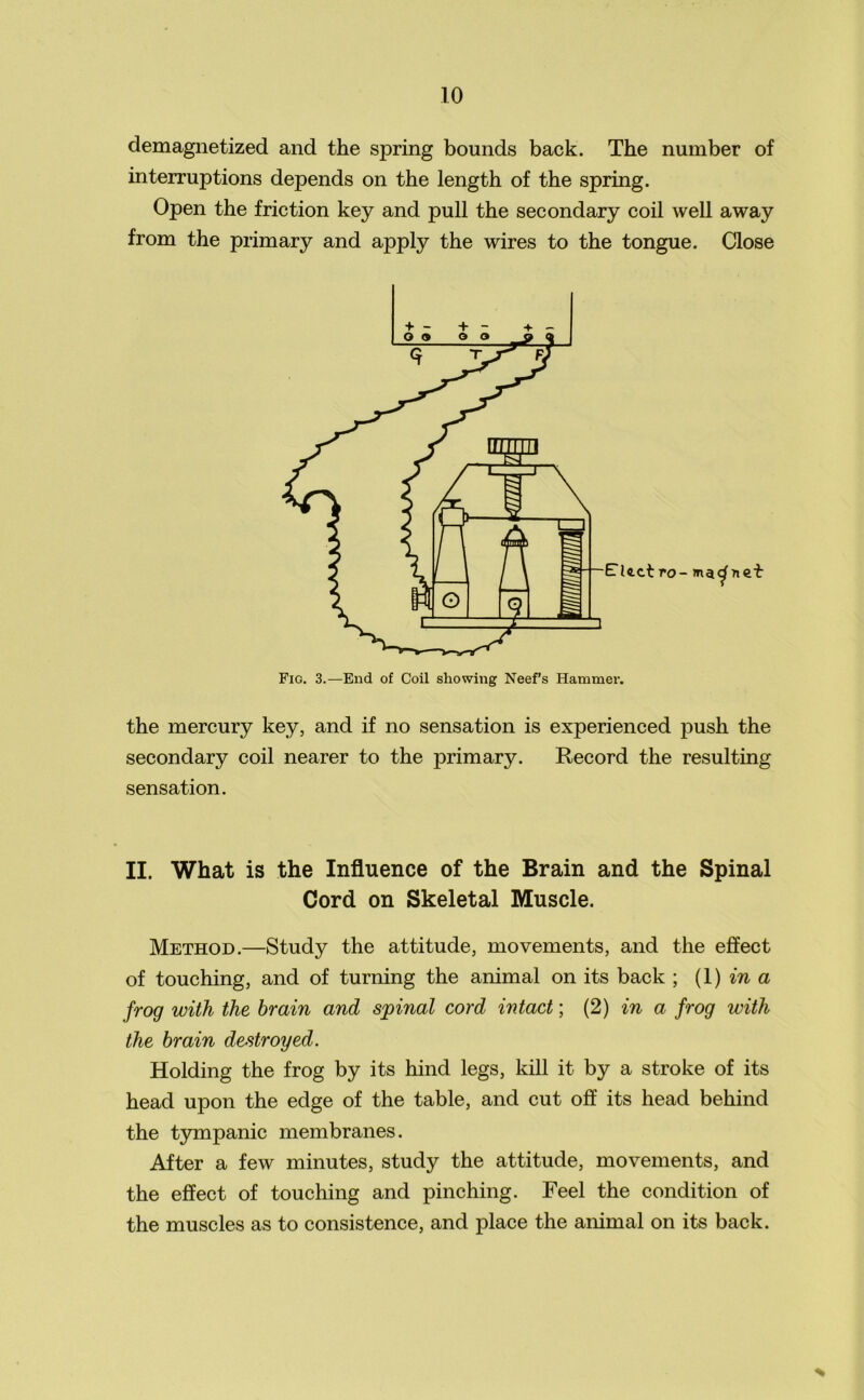 demagnetized and the spring bounds back. The number of interruptions depends on the length of the spring. Open the friction key and pull the secondary coil well away from the primary and apply the wires to the tongue. Close Fig. 3.—End of Coil showing Neef’s Hammer. the mercury key, and if no sensation is experienced push the secondary coil nearer to the primary. Record the resulting sensation. II. What is the Influence of the Brain and the Spinal Cord on Skeletal Muscle. Method.—Study the attitude, movements, and the effect of touching, and of turning the animal on its back ; (1) in a frog with the brain and spinal cord intact; (2) in a frog with the brain destroyed. Holding the frog by its hind legs, kill it by a stroke of its head upon the edge of the table, and cut off its head behind the tympanic membranes. After a few minutes, study the attitude, movements, and the effect of touching and pinching. Feel the condition of the muscles as to consistence, and place the animal on its back. %