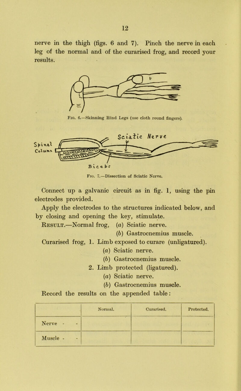 nerve in the thigh (figs. 6 and 7). Pinch the nerve in each leg of the normal and of the curarised frog, and record your results. Fig. 6.—Skinning Hind Legs (use cloth round fingers). $ |s i ua.1 Column Sc.ia.2dc Nzvve Bice bs Fig. 7.—Dissection of Sciatic Nerve. Connect up a galvanic circuit as in fig. 1, using the pin electrodes provided. Apply the electrodes to the structures indicated below, and by closing and opening the key, stimulate. Result.—Normal frog, (a) Sciatic nerve. (b) Gastrocnemius muscle. Curarised frog, 1. Limb exposed to curare (unligatured). (а) Sciatic nerve. (б) Gastrocnemius muscle. 2. Limb protected (ligatured). (a) Sciatic nerve. (b) Gastrocnemius muscle. Record the results on the appended table: Normal. Curarised. Protected. Nerve - Muscle -