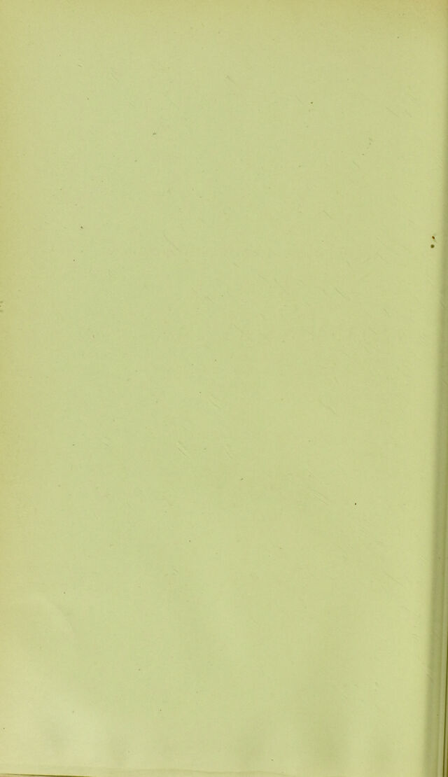 digitised image 2