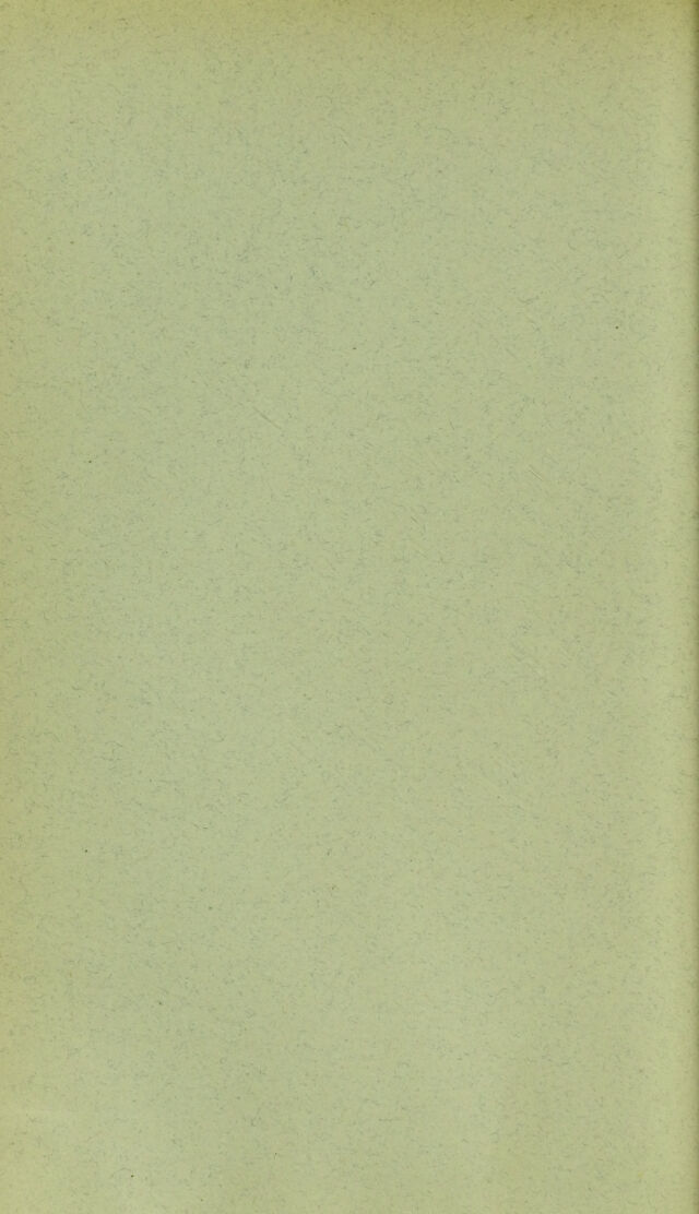digitised image 2