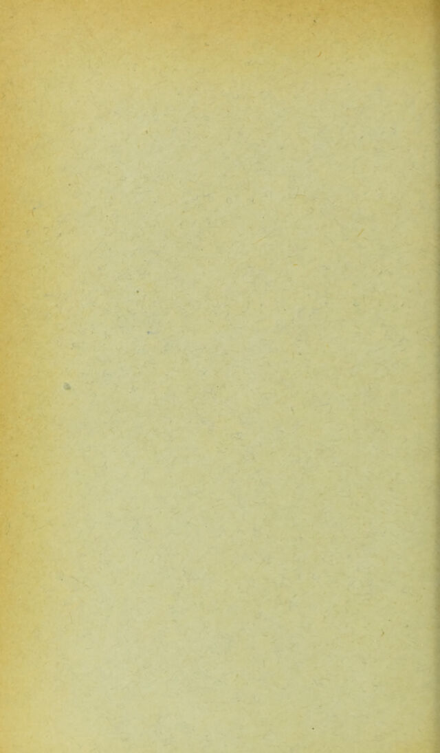 digitised image 2