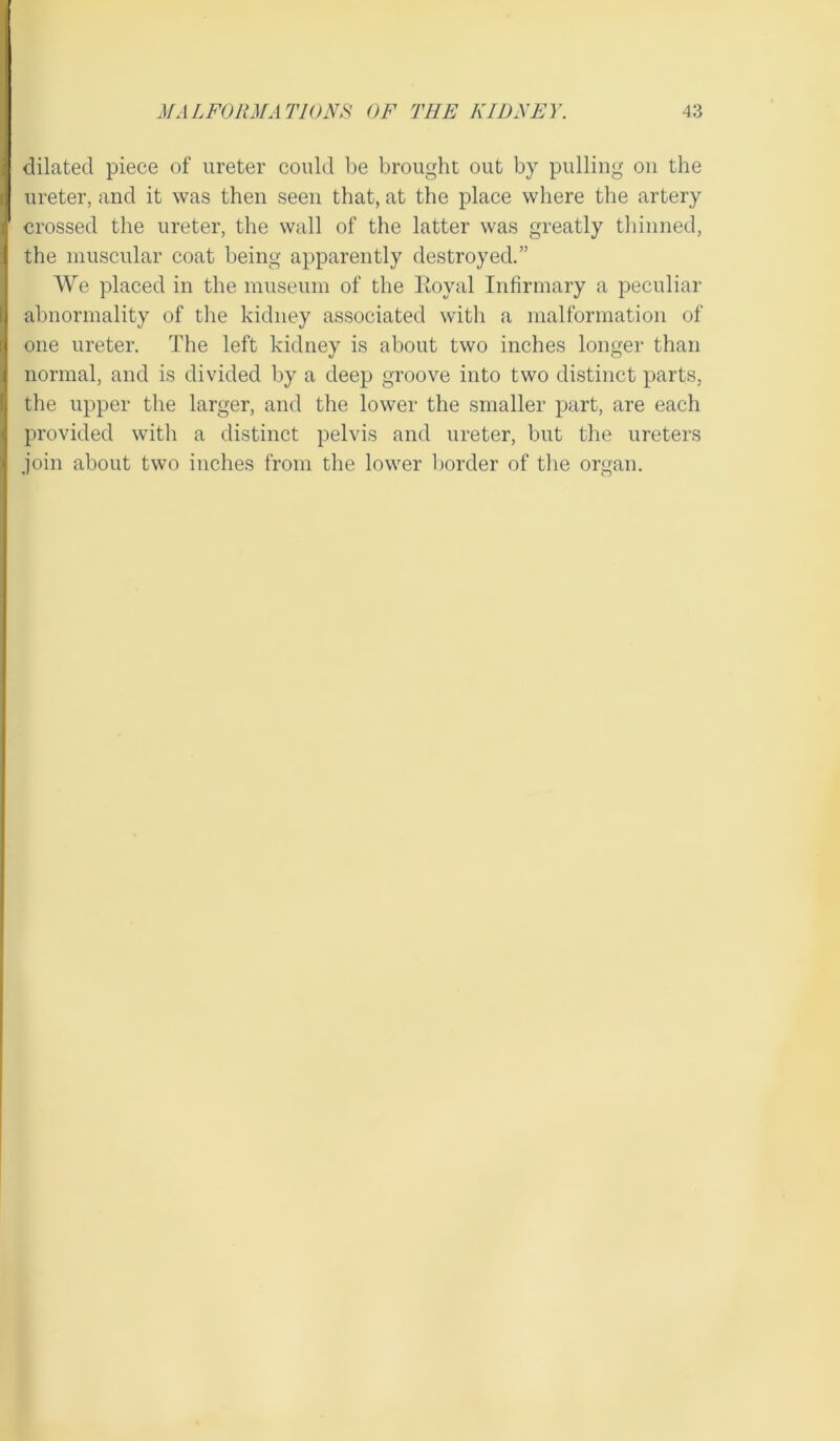 dilated piece of ureter could be brought out by pulling on the ureter, and it was then seen that, at the place where the artery crossed the ureter, the wall of the latter was greatly thinned, the muscular coat being apparently destroyed.” We placed in the museum of the Royal Infirmary a peculiar abnormality of the kidney associated with a malformation of one ureter. The left kidney is about two inches longer than normal, and is divided by a deep groove into two distinct parts, the upper the larger, and the lower the smaller part, are each provided with a distinct pelvis and ureter, but the ureters join about two inches from the lower border of the organ.