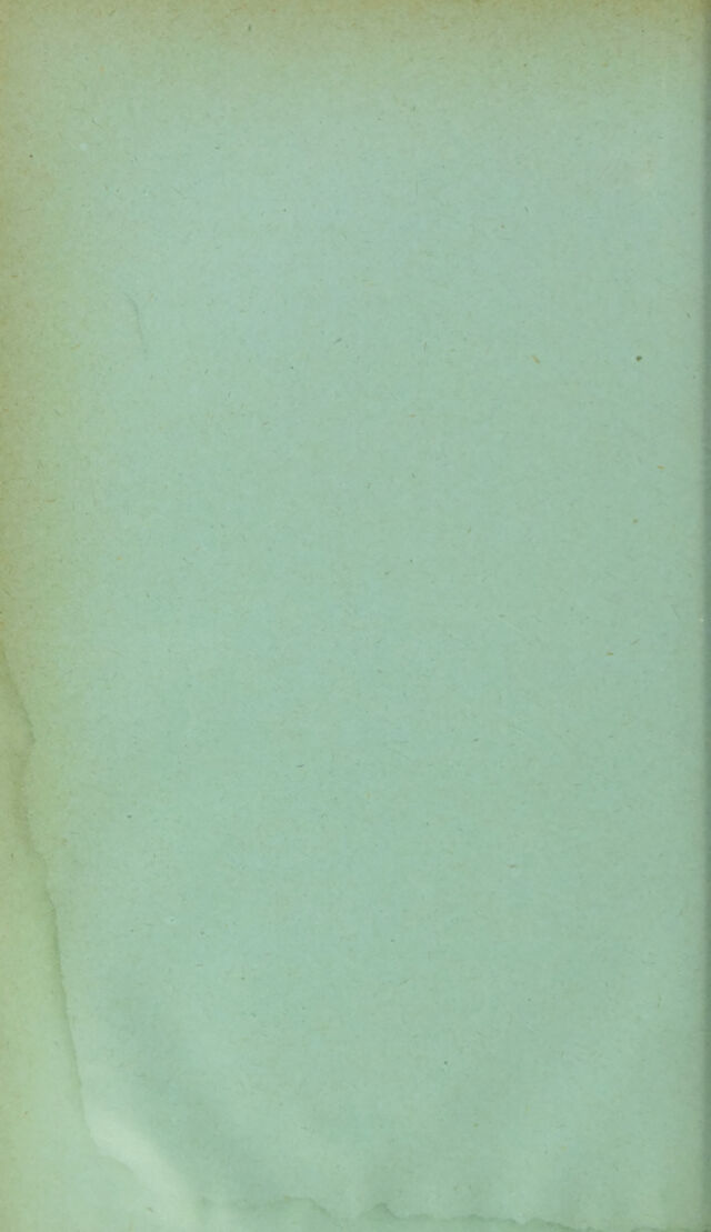 digitised image 2