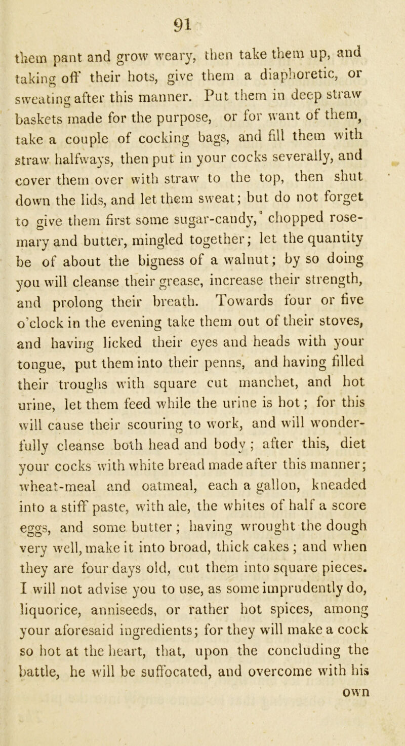them pant and grow weary, then take them up, and taking off their hots, give them a diaphoretic, or sweating after this manner. Put them in deep straw baskets made for the purpose, or for want ot them, take a couple of cocking bags, and fill them with straw halfways, then put in your cocks severally, and cover them over with straw to the top, then shut down the lids, and let them sweat; but do not forget to give them first some sugar-candy,’ chopped rose- maryand butter, mingled together; let the quantity be of about the bigness of a walnut; by so doing you will cleanse their grease, increase their strength, and prolong their breath. 1 owards tour or five o’clock in the evening take them out of their stoves, and having licked their eyes and heads with your tongue, put them into their penns, and having filled their troughs with square cut manchet, and hot urine, let them feed while the urine is hot; for this will cause their scouring to work, and will wonder- fully cleanse both head and bodv ; after this, diet your cocks with white bread made after this manner; wheat-meal and oatmeal, each a gallon, kneaded into a stiff paste, with ale, the whites of half a score eggs, and some butter; having wrought the dough very well, make it into broad, thick cakes ; and when they are four days old, cut them into square pieces. I will not advise you to use, as some imprudently do, liquorice, anniseeds, or rather hot spices, among your aforesaid ingredients; for they wall make a cock so hot at the heart, that, upon the concluding the battle, he will be suffocated, and overcome with his own