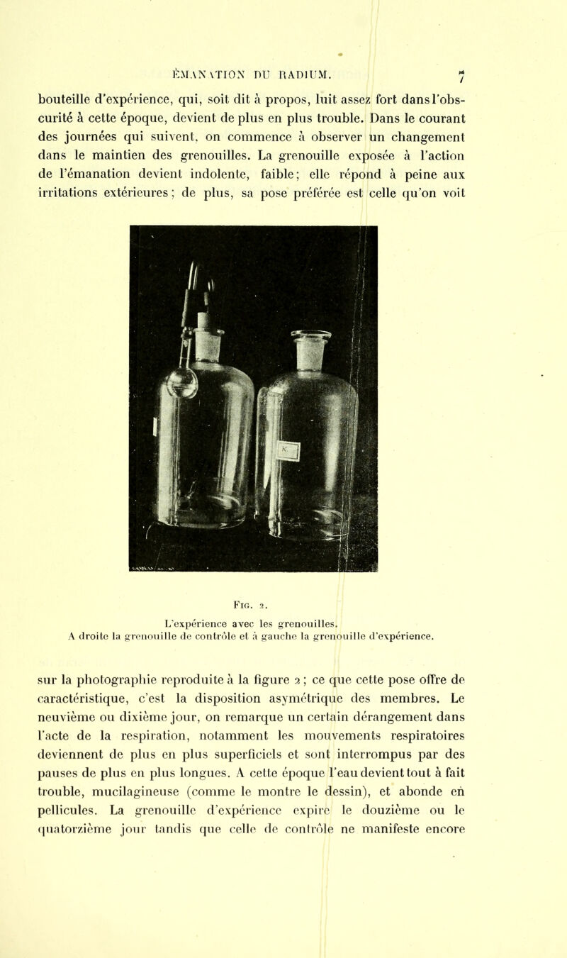 bouteille d'expérience, qui, soit dit à propos, luit fort dans l’obs- curité à cette époque, devient de plus en plus trouble. Dans le courant des journées qui suivent, on commence à observer un changement dans le maintien des grenouilles. La grenouille exposée à l’action de l’émanation devient indolente, faible; elle répond à peine aux irritations extérieures; de plus, sa pose préférée est celle qu’on voit Fig. 2. L’expérience avec les grenouilles. A droite la grenouille de contrôle et à g-auche la grenouille d’expérience. sur la photographie reproduite à la ligure 2 ; ce que cette pose offre de caractéristique, c’est la disposition asymétrique des membres. Le neuvième ou dixième jour, on remarque un certain dérangement dans l’acte de la respiration, notamment les mouvements respiratoires deviennent de plus en plus superficiels et sont interrompus par des pauses de plus en plus longues. A cette époque l’eau devient tout à fait trouble, mucilagineuse (comme le montre le dessin), et abonde eh pellicules. La grenouille d’expérience expire le douzième ou le quatorzième jour tandis que celle de contrôle ne manifeste encore