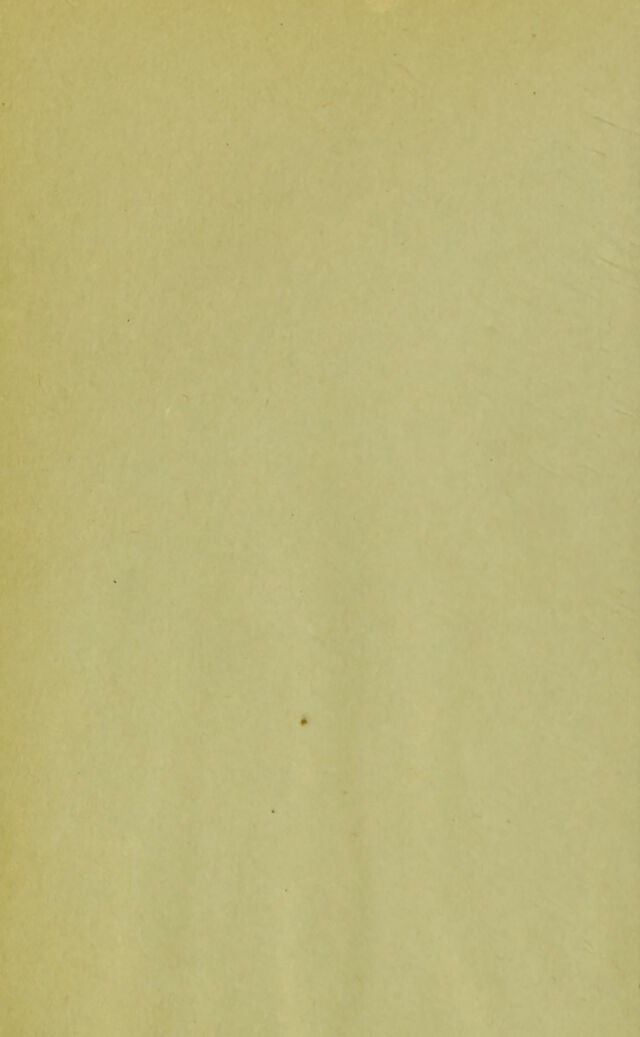 digitised image 2