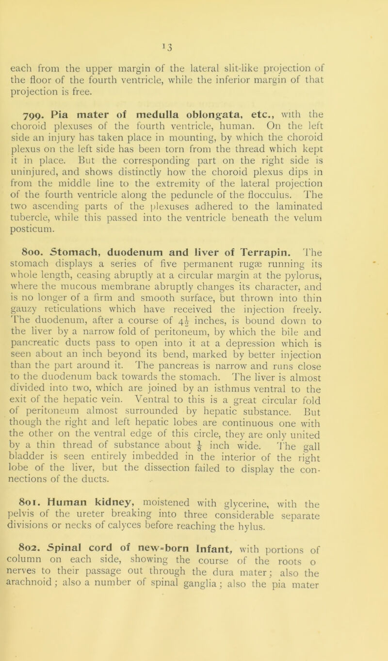 each from the upper margin of the lateral slit-like projection of the floor of the fourth ventricle, while the inferior margin of that projection is free. 799. Pia mater of medulla oblongata, etc., with the choroid plexuses of the fourth ventricle, human. On the left side an injury has taken place in mounting, by which the choroid plexus on the left side has been torn from the thread which kept it in place. But the corresponding part on the right side is uninjured, and shows distinctly how the choroid plexus dips in from the middle line to the extremity of the lateral projection of the fourth ventricle along the peduncle of the flocculus. The two ascending parts of the plexuses adhered to the laminated tubercle, while this passed into the ventricle beneath the velum posticum. 800. Stomach, duodenum and liver of Terrapin. The stomach displays a series of five permanent rugae running its whole length, ceasing abruptly at a circular margin at the pylorus, where the mucous membrane abruptly changes its character, and is no longer of a firm and smooth surface, but thrown into thin gauzy reticulations which have received the injection freely. The duodenum, after a course of 4T inches, is bound down to the liver by a narrow fold of peritoneum, by which the hile and pancreatic ducts pass to open into it at a depression which is seen about an inch beyond its bend, marked by better injection than the part around it. The pancreas is narrow and runs close to the duodenum back towards the stomach. The liver is almost divided into two, which are joined by an isthmus ventral to the exit of the hepatic vein. Ventral to this is a great circular fold of peritoneum almost surrounded by hepatic substance. But though the right and left hepatic lobes are continuous one with the other on the ventral edge of this circle, they are only united by a thin thread of substance about | inch wide. The gall bladder is seen entirely imbedded in the interior of the right lobe of the liver, but the dissection failed to display the con- nections of the ducts. 801. Human kidney, moistened with glycerine, with the pelvis of the ureter breaking into three considerable separate divisions or necks of calyces before reaching the hylus. 802. Spinal cord of new-born Infant, with portions of column on each side, showing the course of the roots o nerves to their passage out through the dura mater; also the arachnoid ; also a number of spinal ganglia; also the pia mater