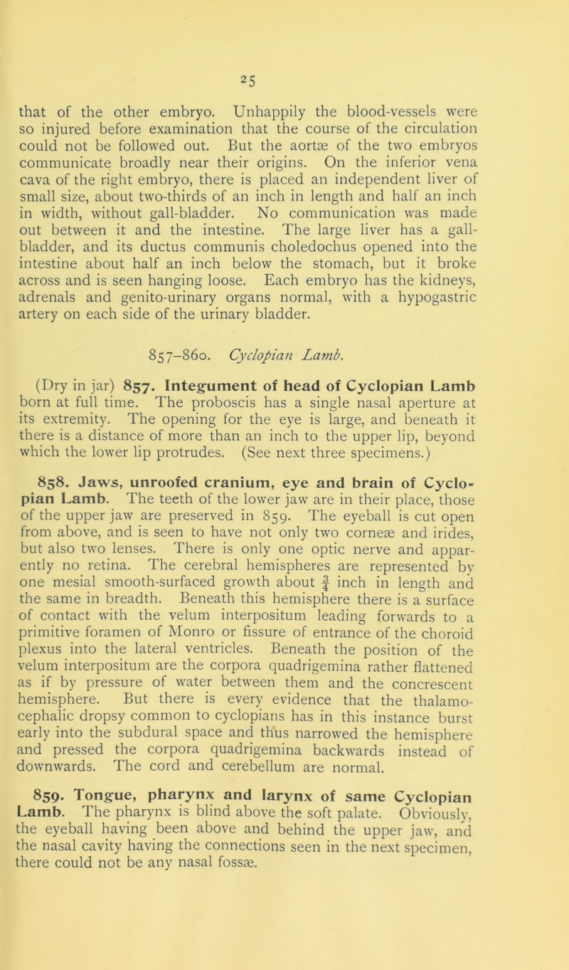 that of the other embryo. Unhappily the blood-vessels were so injured before examination that the course of the circulation could not be followed out. But the aortas of the two embryos communicate broadly near their origins. On the inferior vena cava of the right embryo, there is placed an independent liver of small size, about two-thirds of an inch in length and half an inch in width, without gall-bladder. No communication was made out between it and the intestine. The large liver has a gall- bladder, and its ductus communis choledochus opened into the intestine about half an inch below the stomach, but it broke across and is seen hanging loose. Each embryo has the kidneys, adrenals and genito-urinary organs normal, with a hypogastric artery on each side of the urinary bladder. 857-860. Cyclopian Lamb. (Dry in jar) 857. Integument of head of Cyclopian Lamb born at full time. The proboscis has a single nasal aperture at its extremity. The opening for the eye is large, and beneath it there is a distance of more than an inch to the upper lip, beyond which the lower lip protrudes. (See next three specimens.) 858. Jaws, unroofed cranium, eye and brain of Cyclo- pian Lamb. The teeth of the lower jaw are in their place, those of the upper jaw are preserved in 859. The eyeball is cut open from above, and is seen to have not only two corneae and irides, but also two lenses. There is only one optic nerve and appar- ently no retina. The cerebral hemispheres are represented by one mesial smooth-surfaced growth about f inch in length and the same in breadth. Beneath this hemisphere there is a surface of contact with the velum interpositum leading forwards to a primitive foramen of Monro or fissure of entrance of the choroid plexus into the lateral ventricles. Beneath the position of the velum interpositum are the corpora quadrigemina rather flattened as if by pressure of water between them and the concrescent hemisphere. But there is every evidence that the thalamo- cephalic dropsy common to cyclopians has in this instance burst early into the subdural space and thus narrowed the hemisphere and pressed the corpora quadrigemina backwards instead of downwards. The cord and cerebellum are normal. 859. Tongue, pharynx and larynx of same Cyclopian Lamb. The pharynx is blind above the soft palate. Obviously, the eyeball having been above and behind the upper jaw, and the nasal cavity having the connections seen in the next specimen, there could not be any nasal fossae.