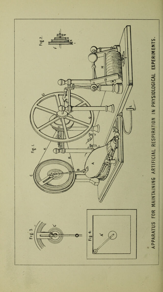 digitised image 2