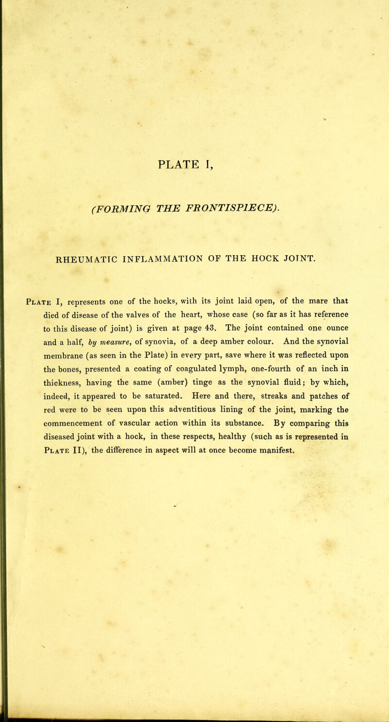 PLATE I, (FORMING THE FRONTISPIECE). RHEUMATIC INFLAMMATION OF THE HOCK JOTNT. Plate I, represents one of the hocks, with its joint laid open, of the mare that died of disease of the valves of the heart, whose case (so far as it has reference to this disease of joint) is given at page 43. The joint contained one ounce and a half, by measure, of synovia, of a deep amber colour. And the synovial membrane (as seen in the Plate) in every part, save where it was reflected upon the bones, presented a coating of coagulated lymph, one-fourth of an inch in thickness, having the same (amber) tinge as the synovial fluid; by which, indeed, it appeared to be saturated. Here and there, streaks and patches of red were to be seen upon this adventitious lining of the joint, marking the commencement of vascular action within its substance. By comparing this diseased joint with a hock, in these respects, healthy (such as is represented in Plate II), the difference in aspect will at once become manifest.