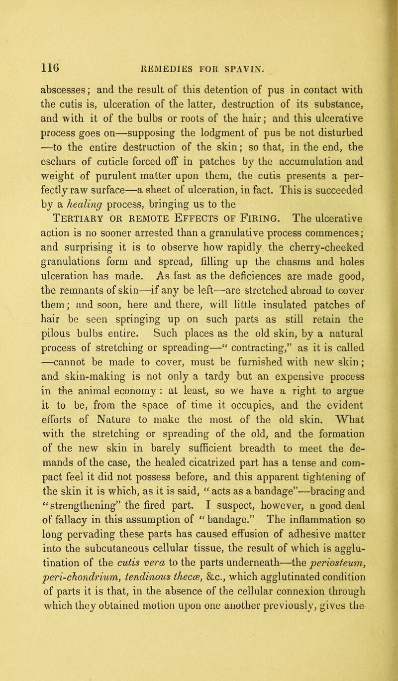 abscesses; and the result of this detention of pus in contact with the cutis is, ulceration of the latter, destruction of its substance, and with it of the bulbs or roots of the hair; and this ulcerative process goes on—supposing the lodgment of pus be not disturbed *—to the entire destruction of the skin; so that, in the end, the eschars of cuticle forced off in patches by the accumulation and weight of purulent matter upon them, the cutis presents a per- fectly raw surface—a sheet of ulceration, in fact. This is succeeded by a healing process, bringing us to the Tertiary or remote Effects of Firing. The ulcerative action is no sooner arrested than a granulative process commences; and surprising it is to observe how rapidly the cherry-cheeked granulations form and spread, filling up the chasms and holes ulceration has made. As fast as the deficiences are made good, the remnants of skin—if any be left—are stretched abroad to cover them; and soon, here and there, will little insulated patches of hair be seen springing up on such parts as still retain the pilous bulbs entire. Such places as the old skin, by a natural process of stretching or spreading—“ contracting,” as it is called —cannot be made to cover, must be furnished with new skin ; and skin-making is not only a tardy but an expensive process in the animal economy : at least, so we have a right to argue it to be, from the space of time it occupies, and the evident efforts of Nature to make the most of the old skin. What with the stretching or spreading of the old, and the formation of the new skin in barely sufficient breadth to meet the de- mands of the case, the healed cicatrized part has a tense and com- pact feel it did not possess before, and this apparent tightening of the skin it is which, as it is said, “ acts as a bandage”—bracing and “ strengthening” the fired part. I suspect, however, a good deal of fallacy in this assumption of “ bandage.” The inflammation so long pervading these parts has caused effusion of adhesive matter into the subcutaneous cellular tissue, the result of which is agglu- tination of the cutis vera to the parts underneath—the 'periosteum, peri-chondrium, tendinous thecce, &c., which agglutinated condition of parts it is that, in the absence of the cellular connexion through which they obtained motion upon one another previously, gives the-