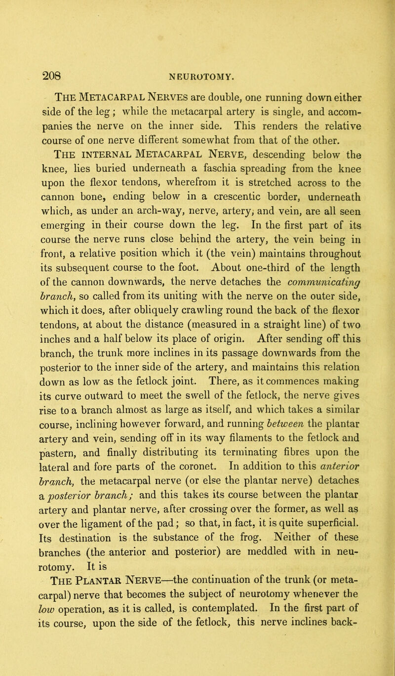 The Metacarpal Nerves are double, one running down either side of the leg ; while the metacarpal artery is single, and accom- panies the nerve on the inner side. This renders the relative course of one nerve different somewhat from that of the other. The internal Metacarpal Nerve, descending below the knee, lies buried underneath a faschia spreading from the knee upon the flexor tendons, wherefrom it is stretched across to the cannon bone, ending below in a crescentic border, underneath which, as under an arch-way, nerve, artery, and vein, are all seen emerging in their course down the leg. In the first part of its course the nerve runs close behind the artery, the vein being in front, a relative position which it (the vein) maintains throughout its subsequent course to the foot. About one-third of the length of the cannon downwards, the nerve detaches the communicating branch, so called from its uniting with the nerve on the outer side, which it does, after obliquely crawling round the back of the flexor tendons, at about the distance (measured in a straight line) of two inches and a half below its place of origin. After sending off this branch, the trunk more inclines in its passage downwards from the posterior to the inner side of the artery, and maintains this relation down as low as the fetlock joint. There, as it commences making its curve outward to meet the swell of the fetlock, the nerve gives rise to a branch almost as large as itself, and which takes a similar course, inclining however forward, and running between the plantar artery and vein, sending off in its way filaments to the fetlock and pastern, and finally distributing its terminating fibres upon the lateral and fore parts of the coronet. In addition to this anterior branch, the metacarpal nerve (or else the plantar nerve) detaches a posterior branch; and this takes its course between the plantar artery and plantar nerve, after crossing over the former, as well as over the ligament of the pad; so that, in fact, it is quite superficial. Its destination is the substance of the frog. Neither of these branches (the anterior and posterior) are meddled with in neu- rotomy. It is The Plantar Nerve—the continuation of the trunk (or meta- carpal) nerve that becomes the subject of neurotomy whenever the low operation, as it is called, is contemplated. In the first part of its course, upon the side of the fetlock, this nerve inclines back-