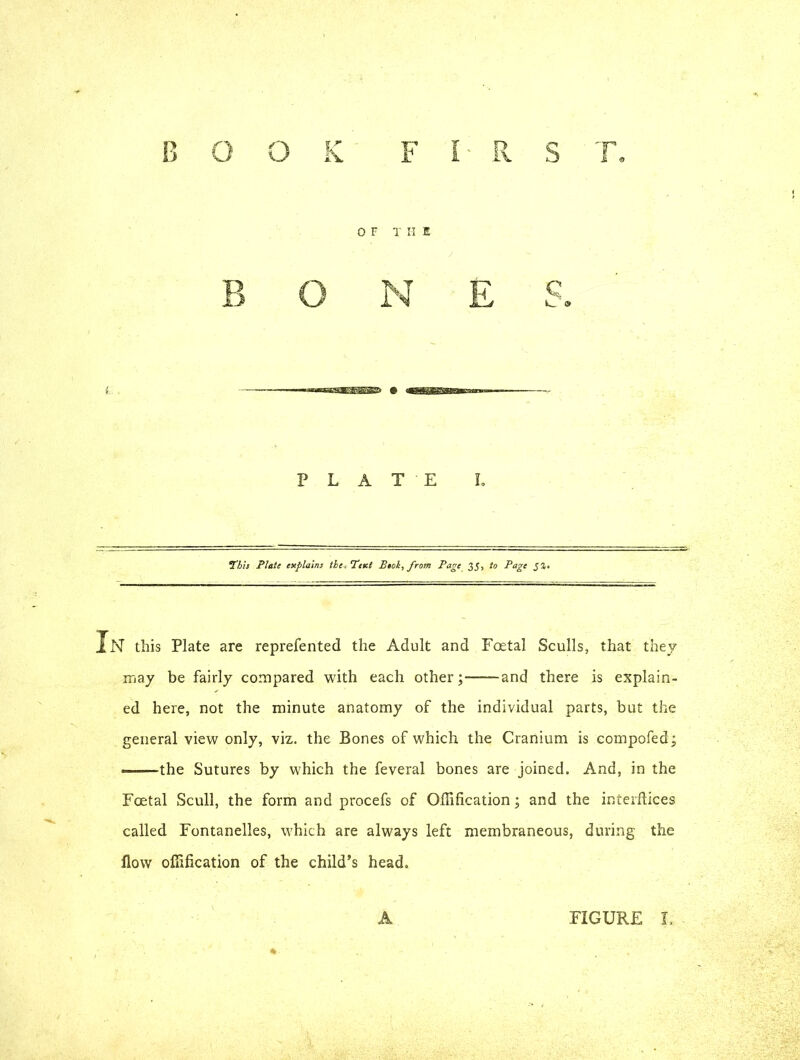 OF T II I BONE S. PLATE I. This Plate explains tie. Text Btol, from Page 35, to Page In this Plate are reprefented the Adult and Foetal Sculls, that they may be fairly compared with each other; and there is explain- ed here, not the minute anatomy of the individual parts, but the general view only, viz. the Bones of which the Cranium is compofed; -■■—the Sutures by which the feveral bones are joined. And, in the Foetal Scull, the form and procefs of Offification; and the interftices called Fontanelles, which are always left membraneous, during the flow offification of the child’s head. A FIGURE I.