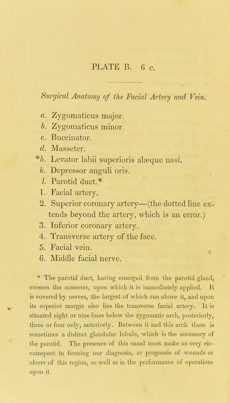 Surgical Anatomy of the Facial Artei'y and Vein. а. Zygomaticus major. h. Zygomaticus minor, c. Buccinator. d. Masseter. ^'h. Levator labii superioris aleeque nasi. h. Depressor anguli oris. 1. Parotid duct.* 1. Facial artery. 2. Superior coronary artery—(the dotted line ex- tends beyond the artery, which is an error.) 3. Inferior coronary artery. 4. Transverse artery of the face. 5. Facial vein. б. Middle facial nerve. * The parotid duct, having emerged from the parotid gland, crosses the masseter, upon which it is immediately applied. It is covered by nerves, the largest of which run above it, and upon its superior margin also lies the transverse facial artery. It is situated eight or nine lines below the zygomatic arch, posteriorly, three or four only, anteriorly. Between it and this arch there is sometimes a distinct glandular lobule, which is the accessory of the parotid. The presence of this canal must make us very cir- cumspect in forming our diagnosis, or prognosis of wounds or ulcers of this region, as well as in the performance of oj)eralions upon it.