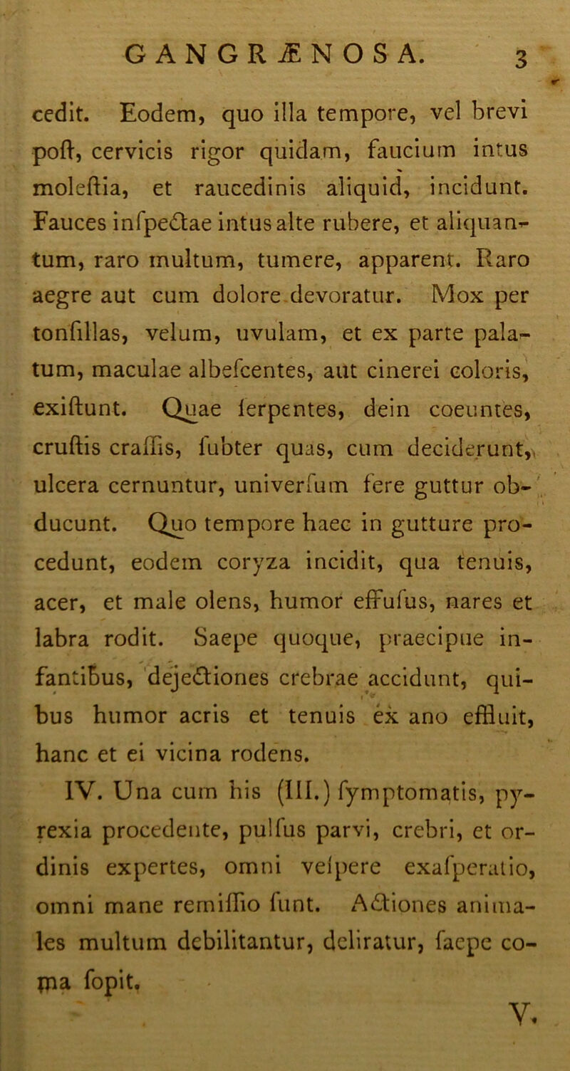 cedit. Eodem, quo illa tempore, vel brevi poft, cervicis rigor quidam, faucium intus moleftia, et raucedinis aliquid, incidunt. Fauces infpe£tae intus alte rubere, et aliquan- tum, raro multum, tumere, apparent. Raro aegre aut cum dolore devoratur. Mox per tonfillas, velum, uvulam, et ex parte pala- tum, maculae albefcentes, aut cinerei coloris, exiftunt. Quae lerpentes, dein coeuntes, cruftis craffis, lubter quas, cum deciderunt,, ulcera cernuntur, univerfum fere guttur ob- ducunt. Quo tempore haec in gutture pro- cedunt, eodem coryza incidit, qua tenuis, acer, et male olens, humor effulus, nares et labra rodit. Saepe quoque, praecipue in- fantibus, deje&iones crebrae accidunt, qui- bus humor acris et tenuis ex ano effluit, hanc et ei vicina rodens. IV. Una cum his (III.) fymptomatis, py- rexia procedente, pullus parvi, crebri, et or- dinis expertes, omni velpere exafperatio, omni mane remiffio lunt. Adtiones anima- les multum debilitantur, deliratur, faepe co- pia fopit. V.