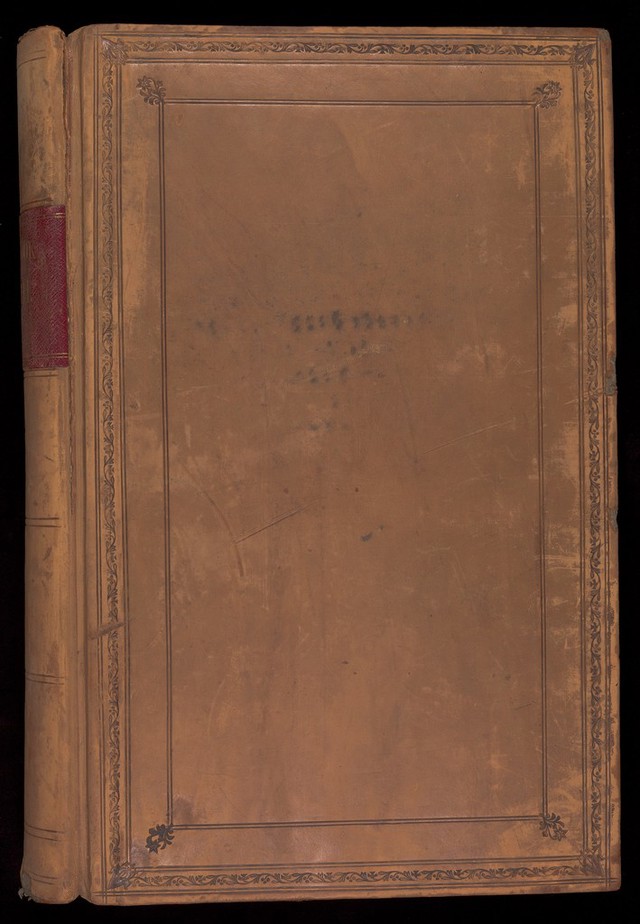 No text description is available for this image