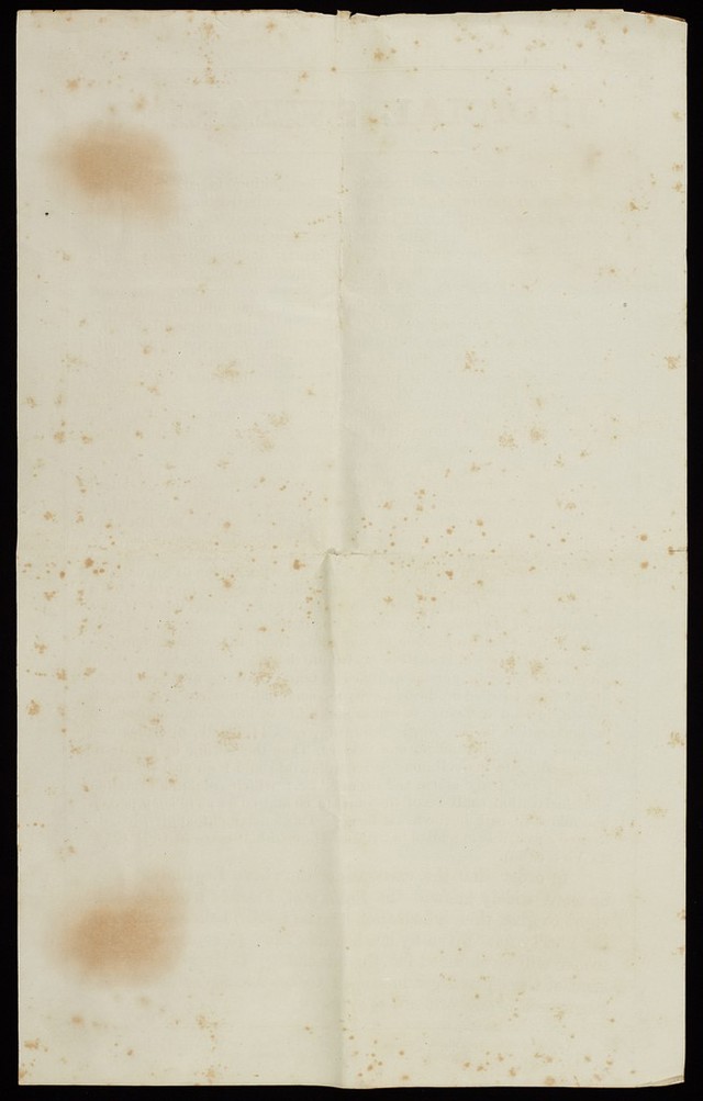 digitised image 2