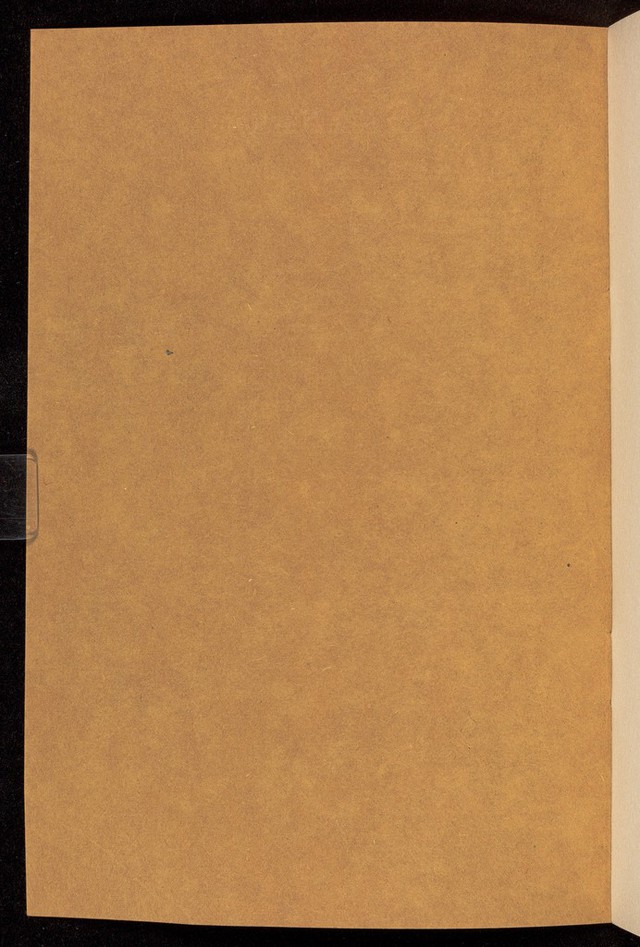 digitised image 2