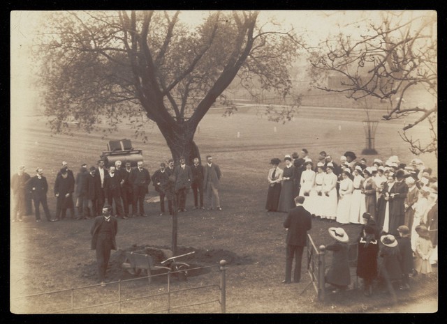 No text description is available for this image