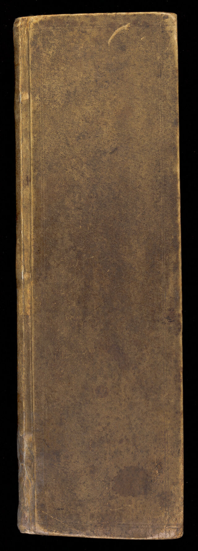 No text description is available for this image