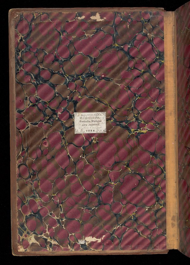 digitised image 2