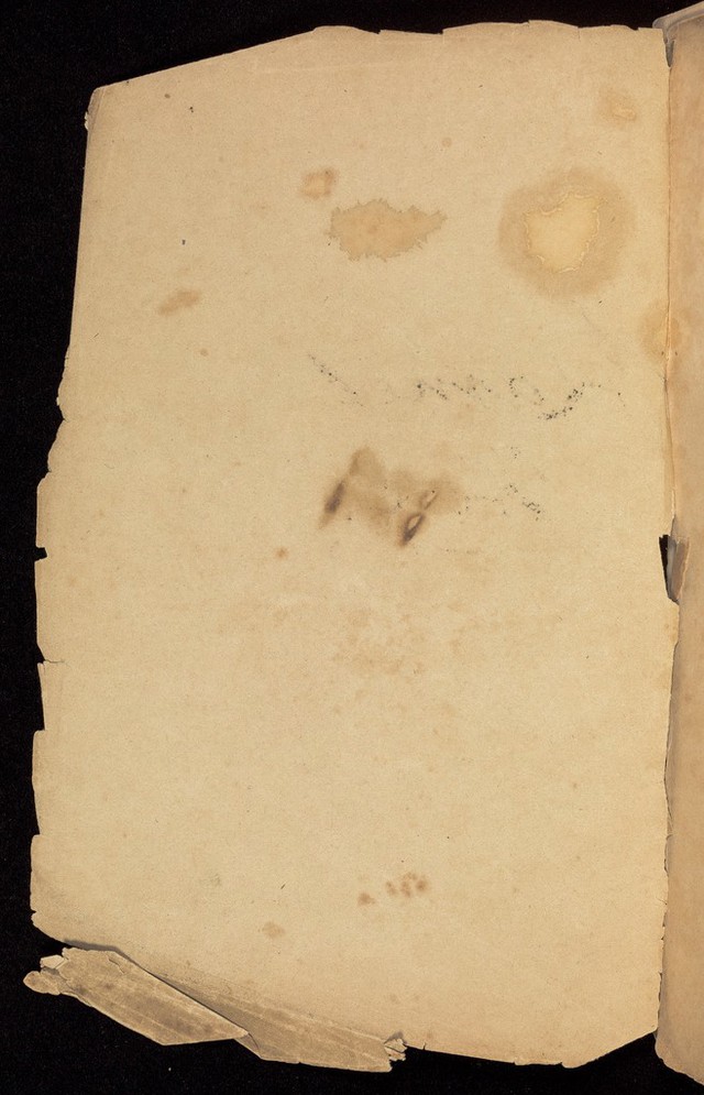 digitised image 2