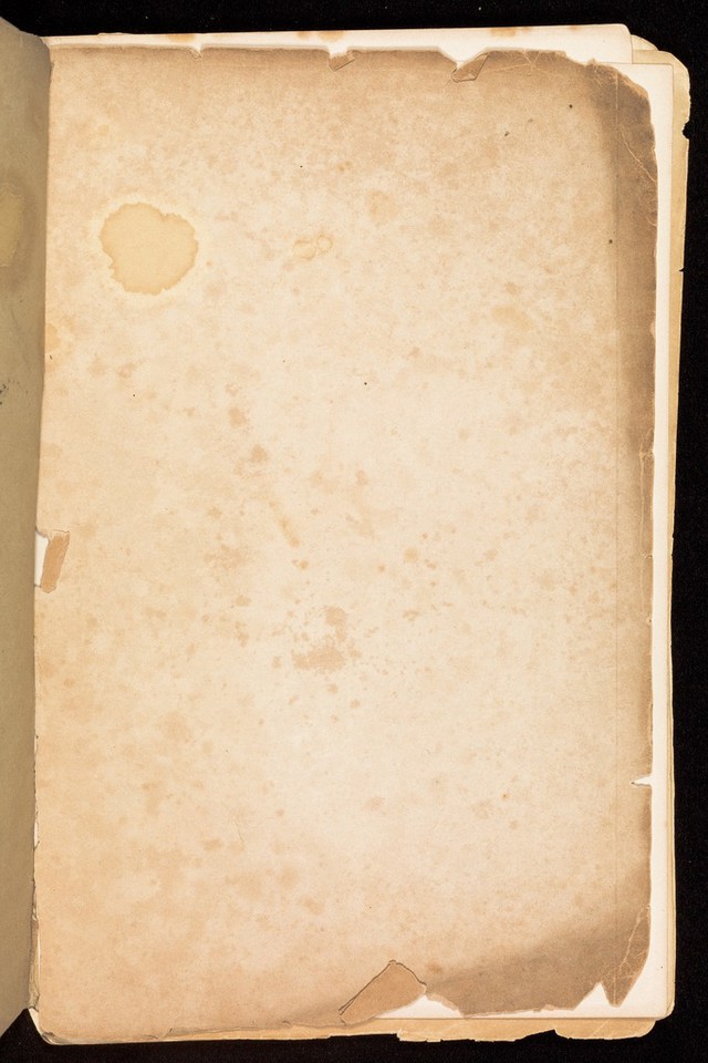 digitised image 3