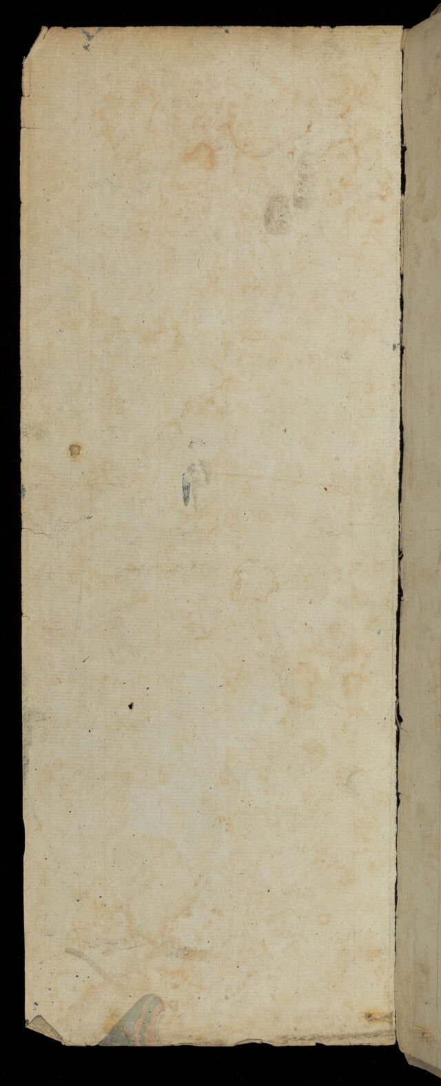 digitised image 2